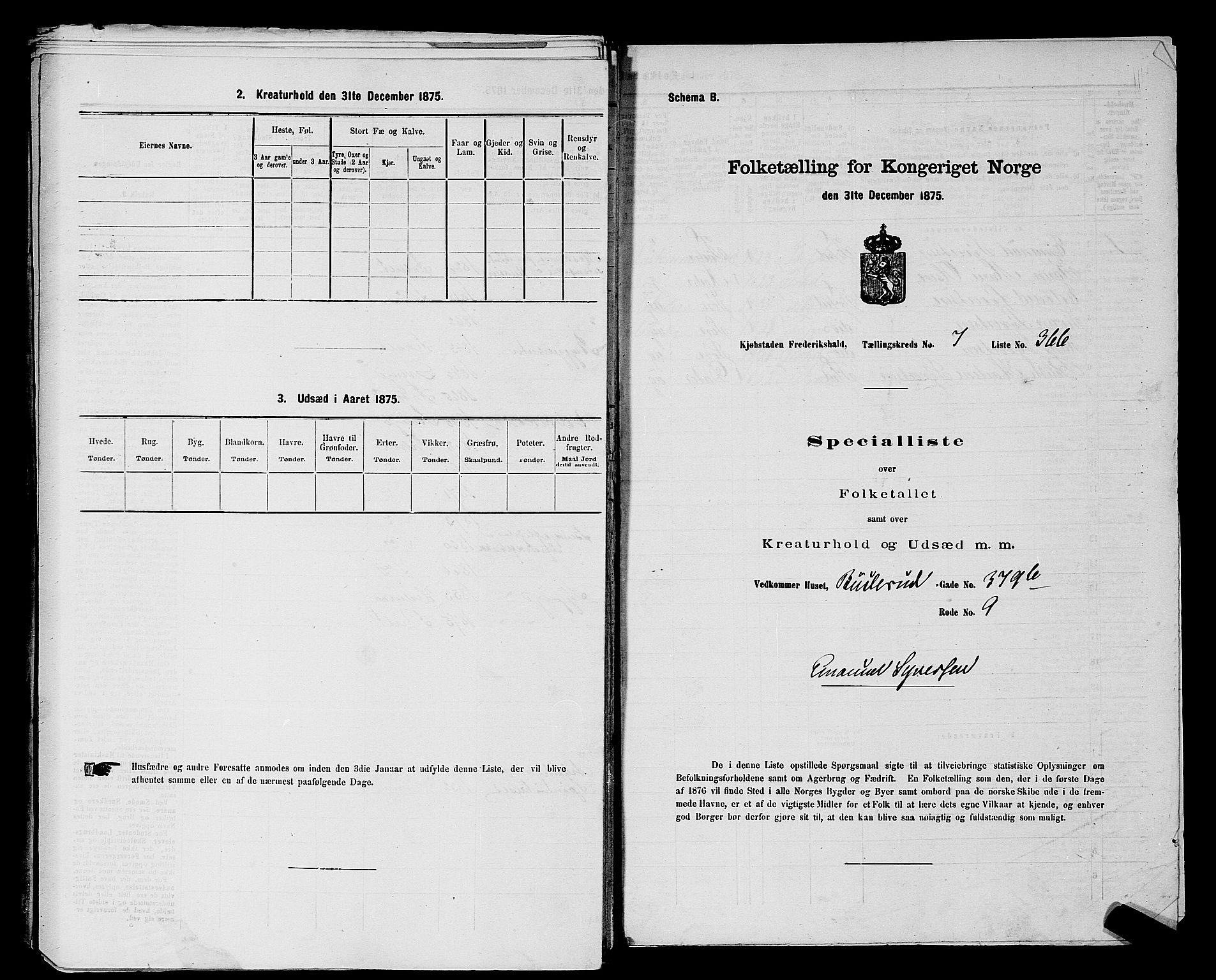 RA, 1875 census for 0101P Fredrikshald, 1875, p. 905