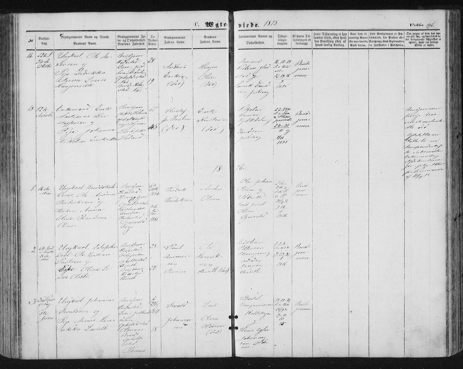Ministerialprotokoller, klokkerbøker og fødselsregistre - Nordland, SAT/A-1459/816/L0241: Parish register (official) no. 816A07, 1870-1885, p. 196