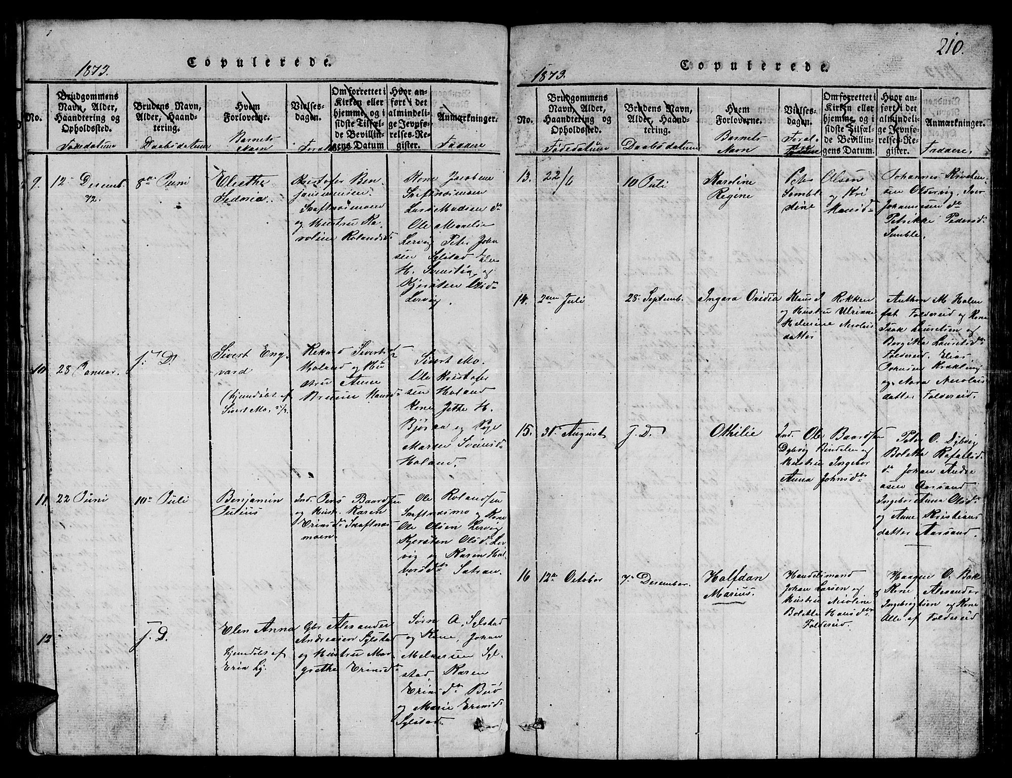 Ministerialprotokoller, klokkerbøker og fødselsregistre - Nord-Trøndelag, SAT/A-1458/780/L0648: Parish register (copy) no. 780C01 /3, 1815-1877, p. 210