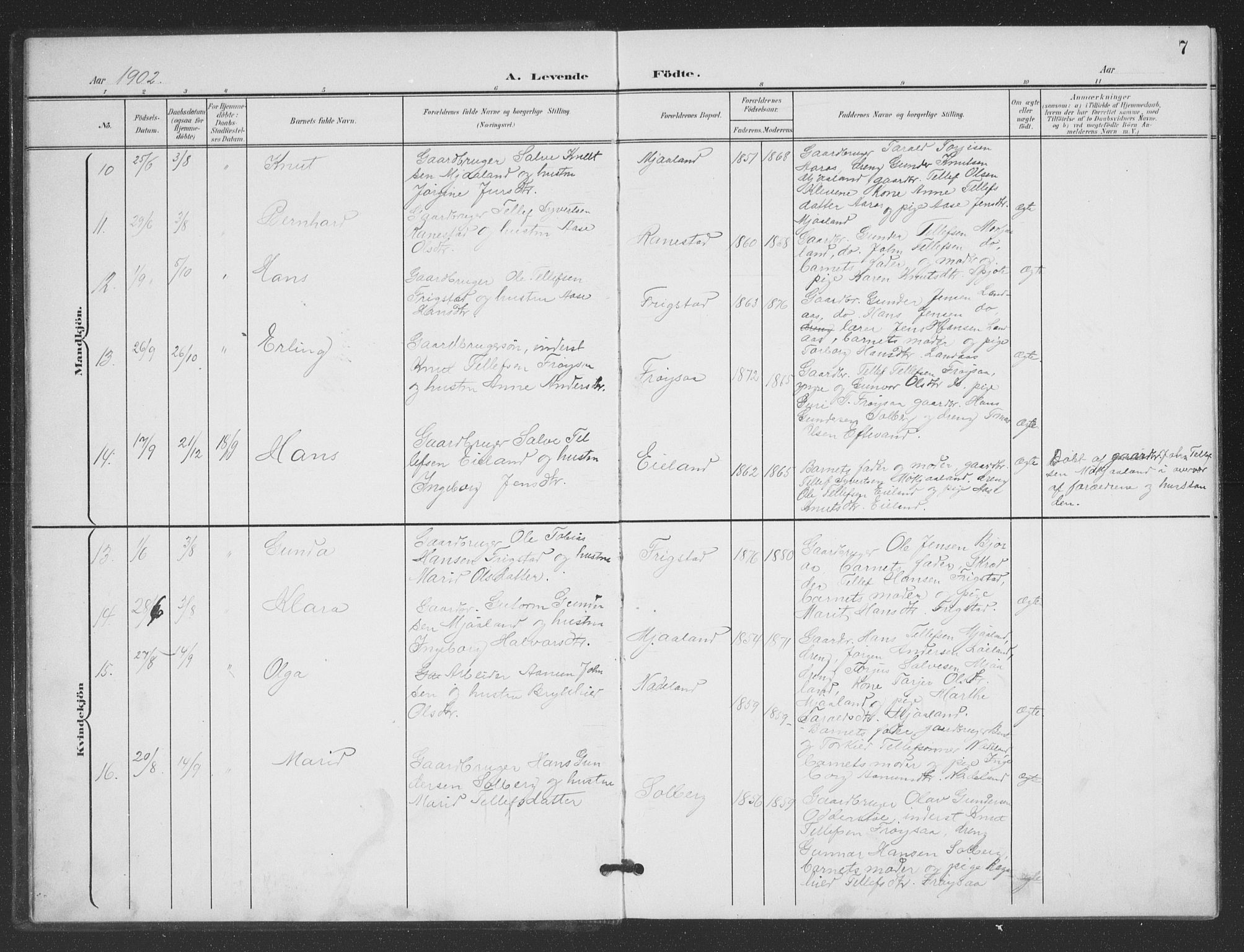 Evje sokneprestkontor, SAK/1111-0008/F/Fb/Fbc/L0005: Parish register (copy) no. B 5, 1901-1935, p. 7
