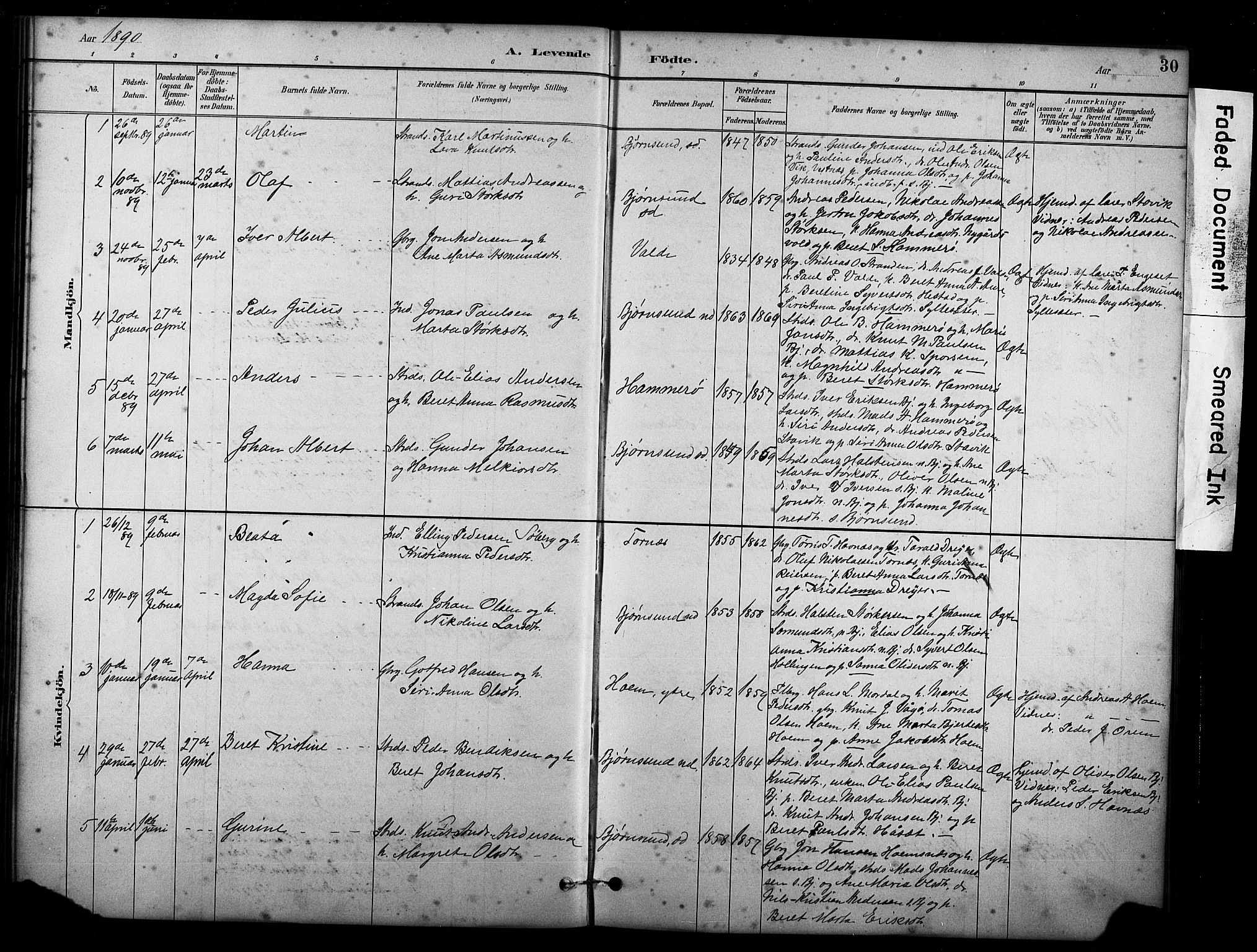 Ministerialprotokoller, klokkerbøker og fødselsregistre - Møre og Romsdal, SAT/A-1454/565/L0755: Parish register (copy) no. 565C04, 1883-1903, p. 30