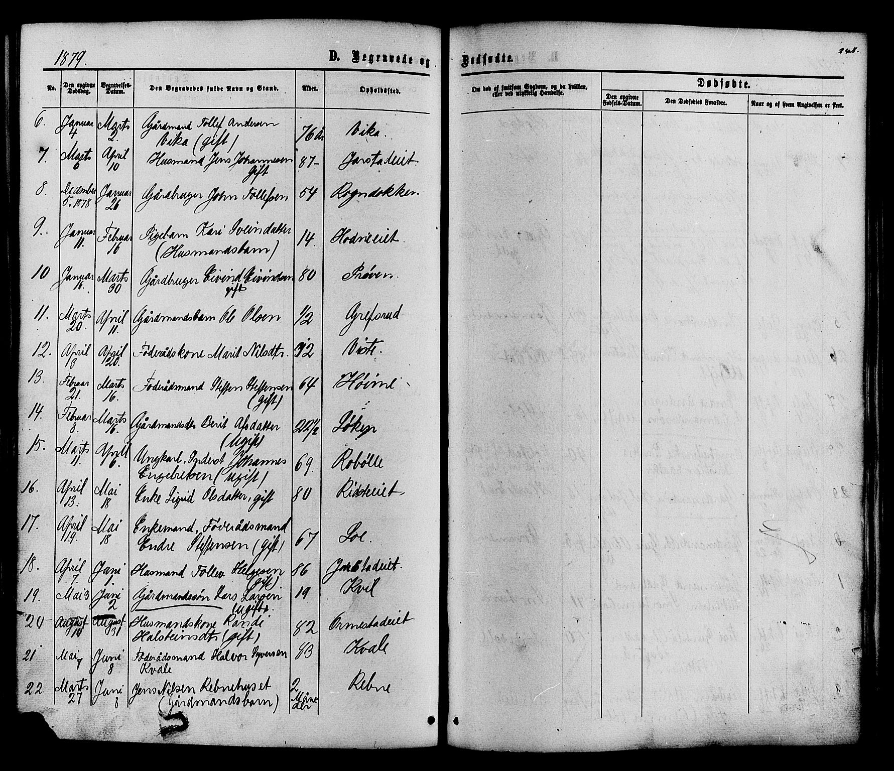 Vestre Slidre prestekontor, SAH/PREST-136/H/Ha/Haa/L0003: Parish register (official) no. 3, 1865-1880, p. 248