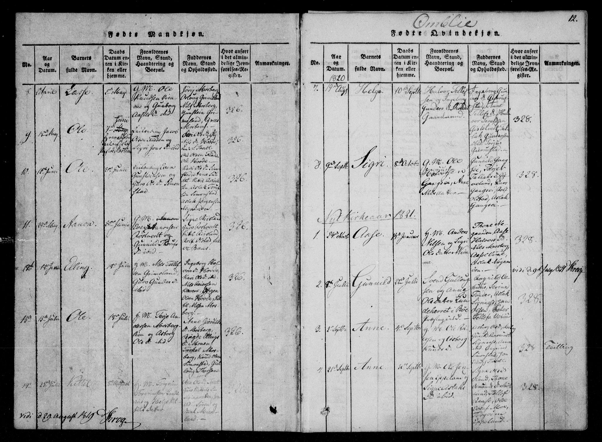 Åmli sokneprestkontor, AV/SAK-1111-0050/F/Fa/Fac/L0006: Parish register (official) no. A 6, 1816-1829, p. 12