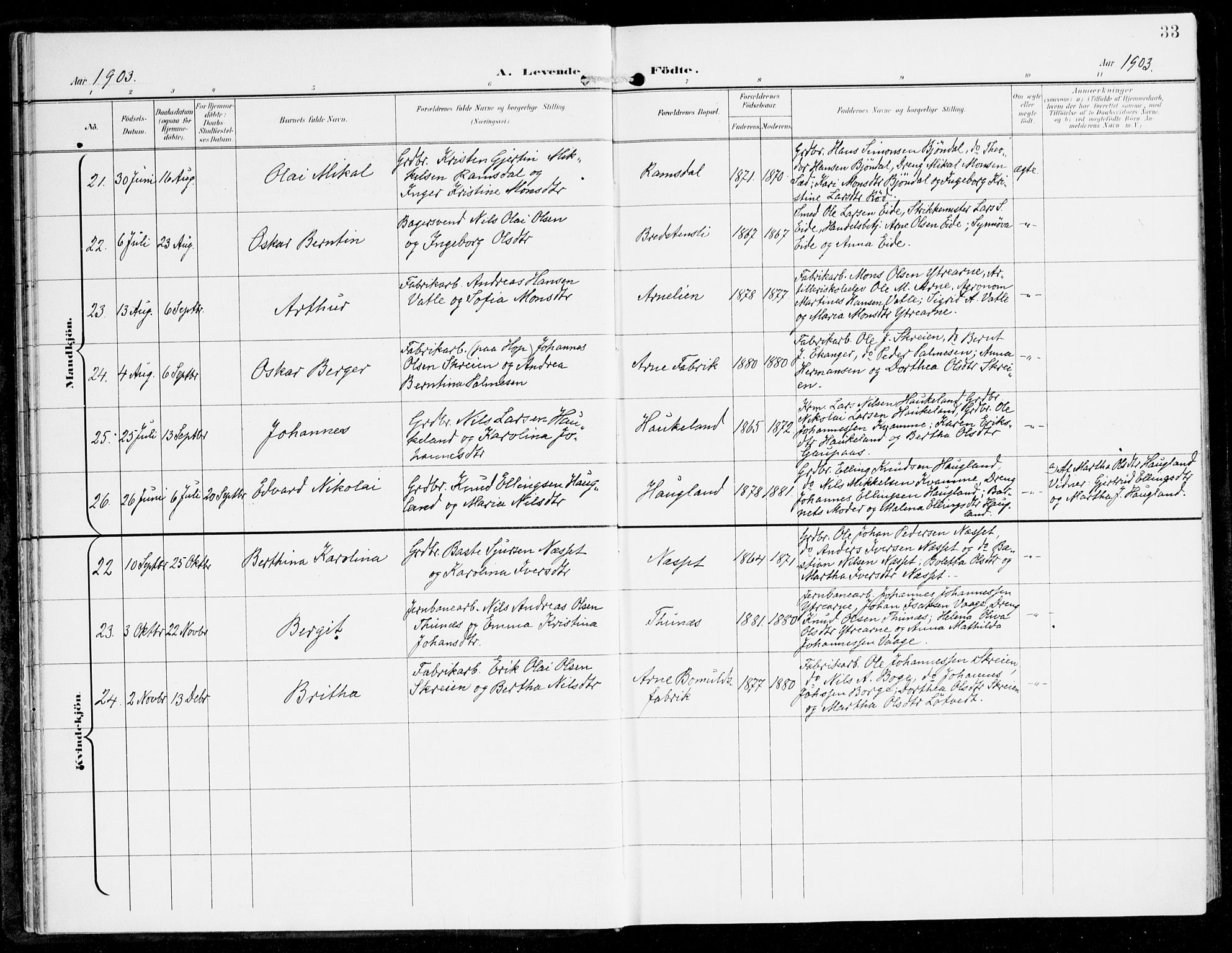 Haus sokneprestembete, AV/SAB-A-75601/H/Haa: Parish register (official) no. D 2, 1899-1912, p. 33