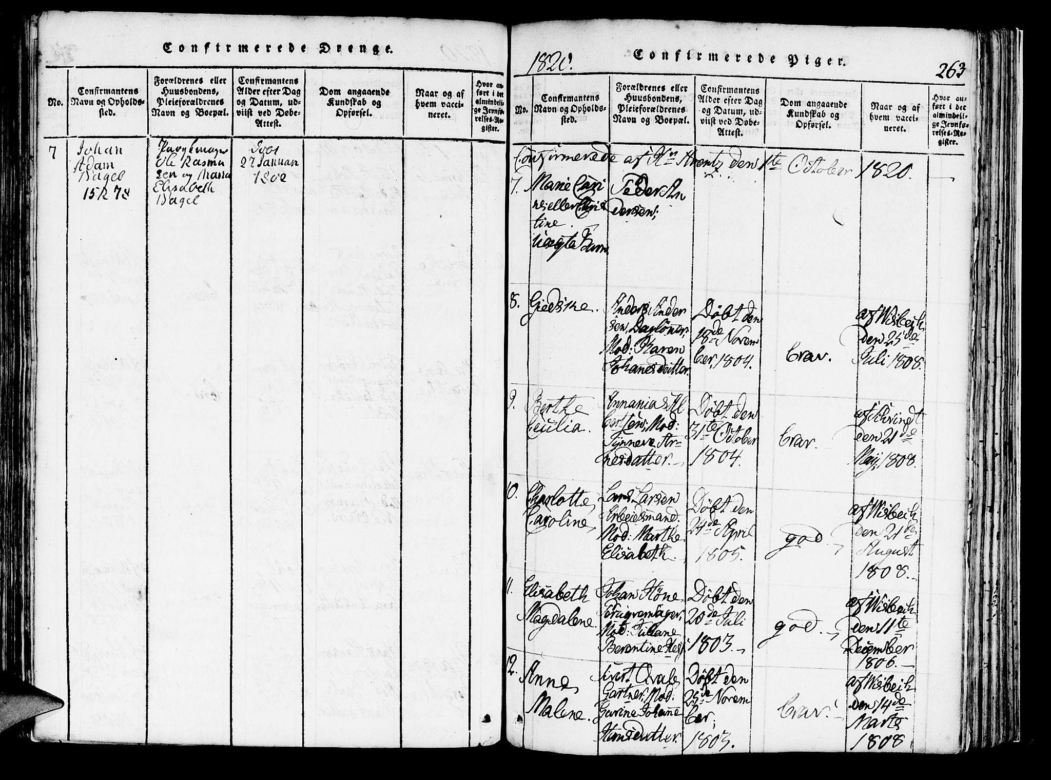 Domkirken sokneprestembete, AV/SAB-A-74801/H/Haa/L0010: Parish register (official) no. A 10, 1816-1821, p. 263