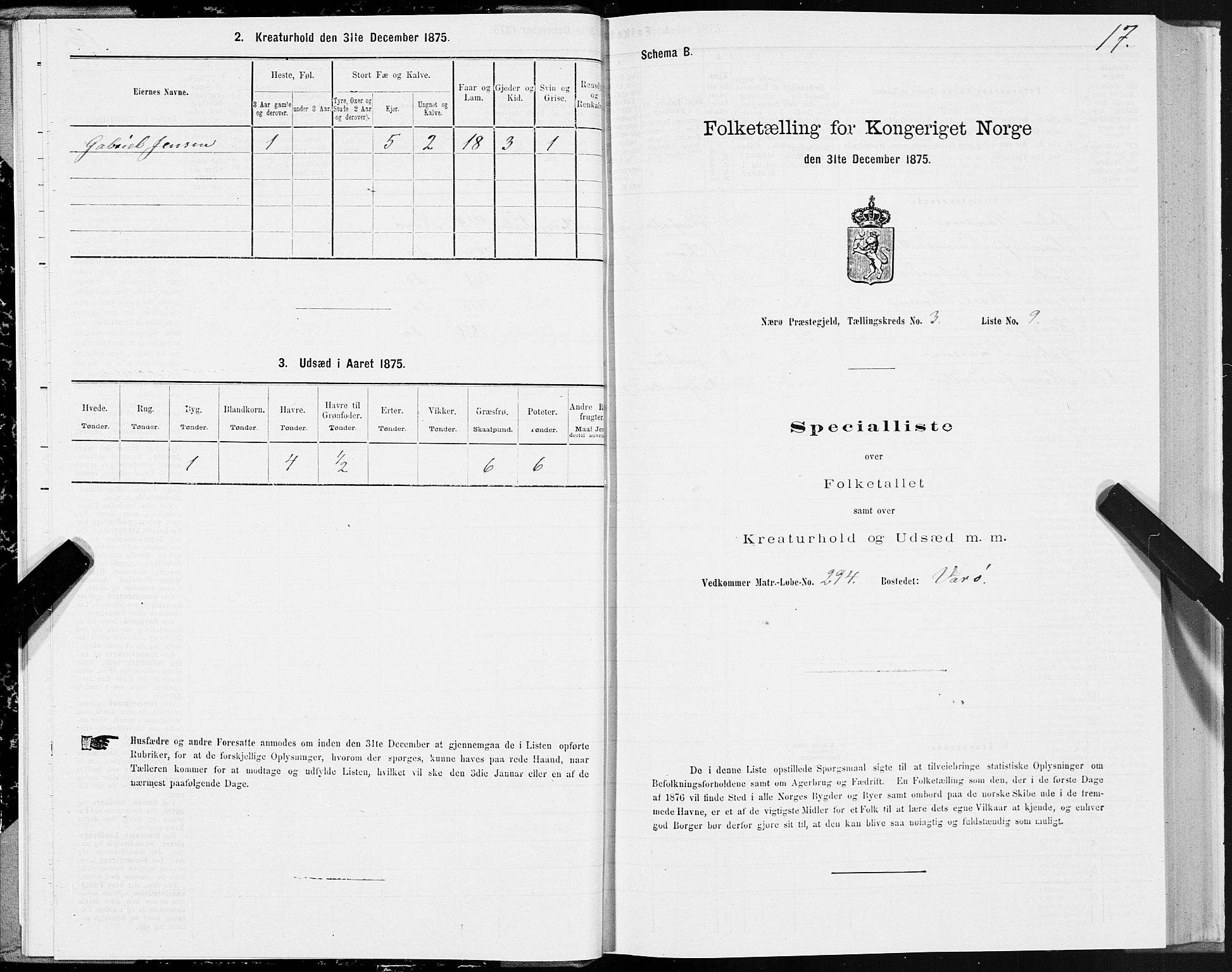 SAT, 1875 census for 1751P Nærøy, 1875, p. 2017