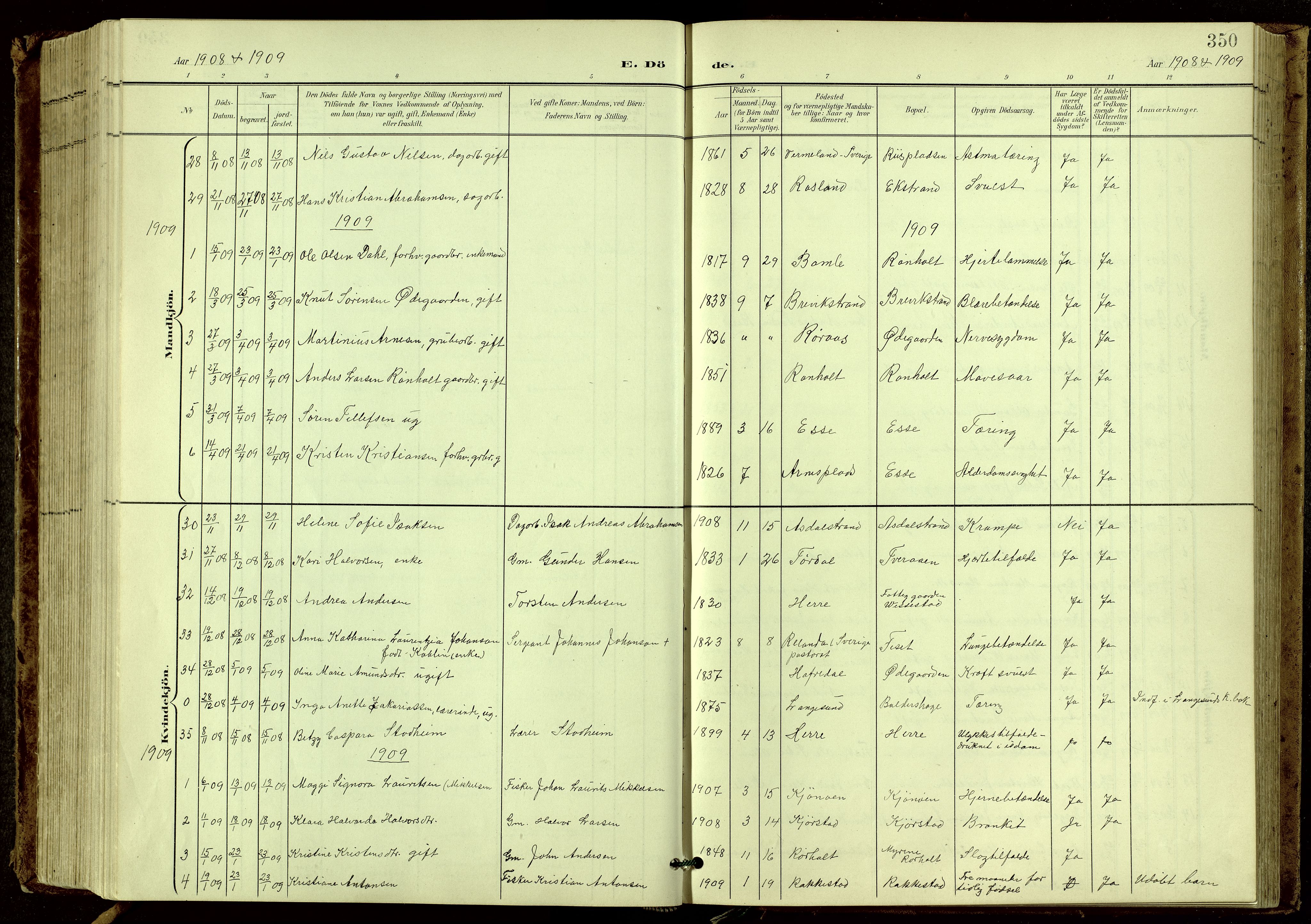 Bamble kirkebøker, SAKO/A-253/G/Ga/L0010: Parish register (copy) no. I 10, 1901-1919, p. 350