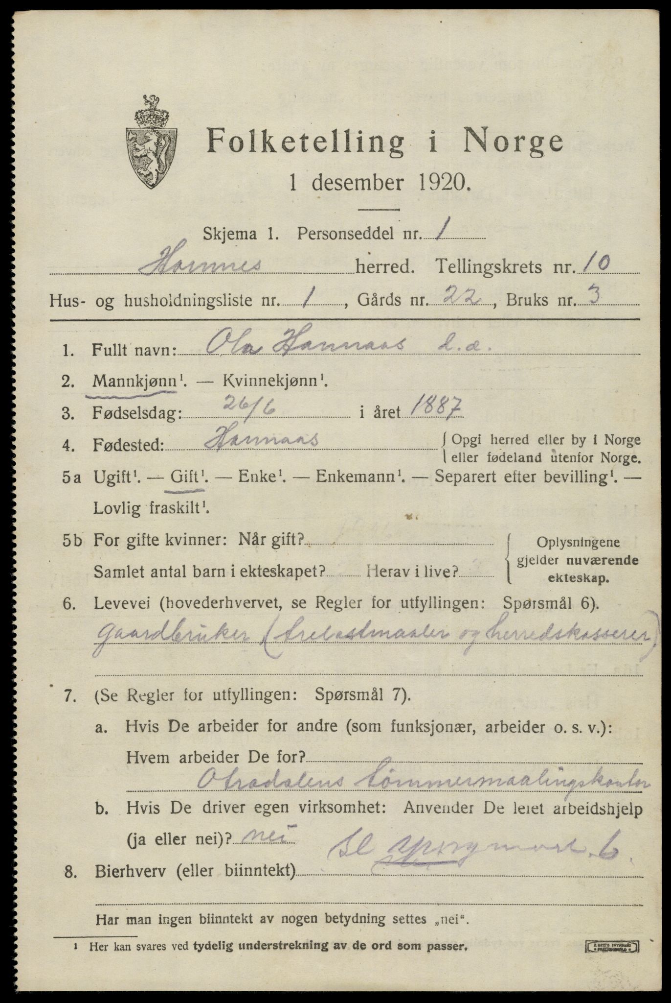 SAK, 1920 census for Hornnes, 1920, p. 2507