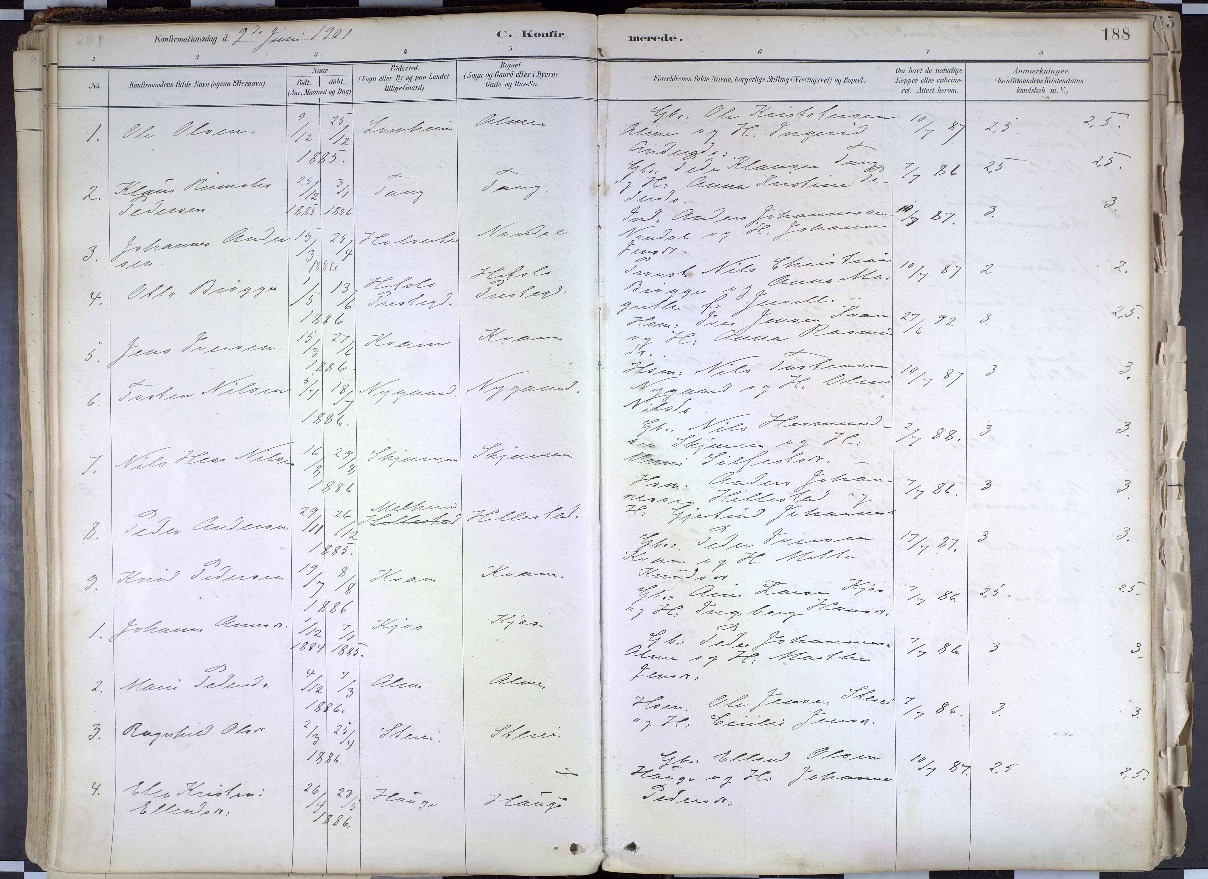 Hafslo sokneprestembete, SAB/A-80301/H/Haa/Haab/L0001: Parish register (official) no. B 1, 1886-1945, p. 188