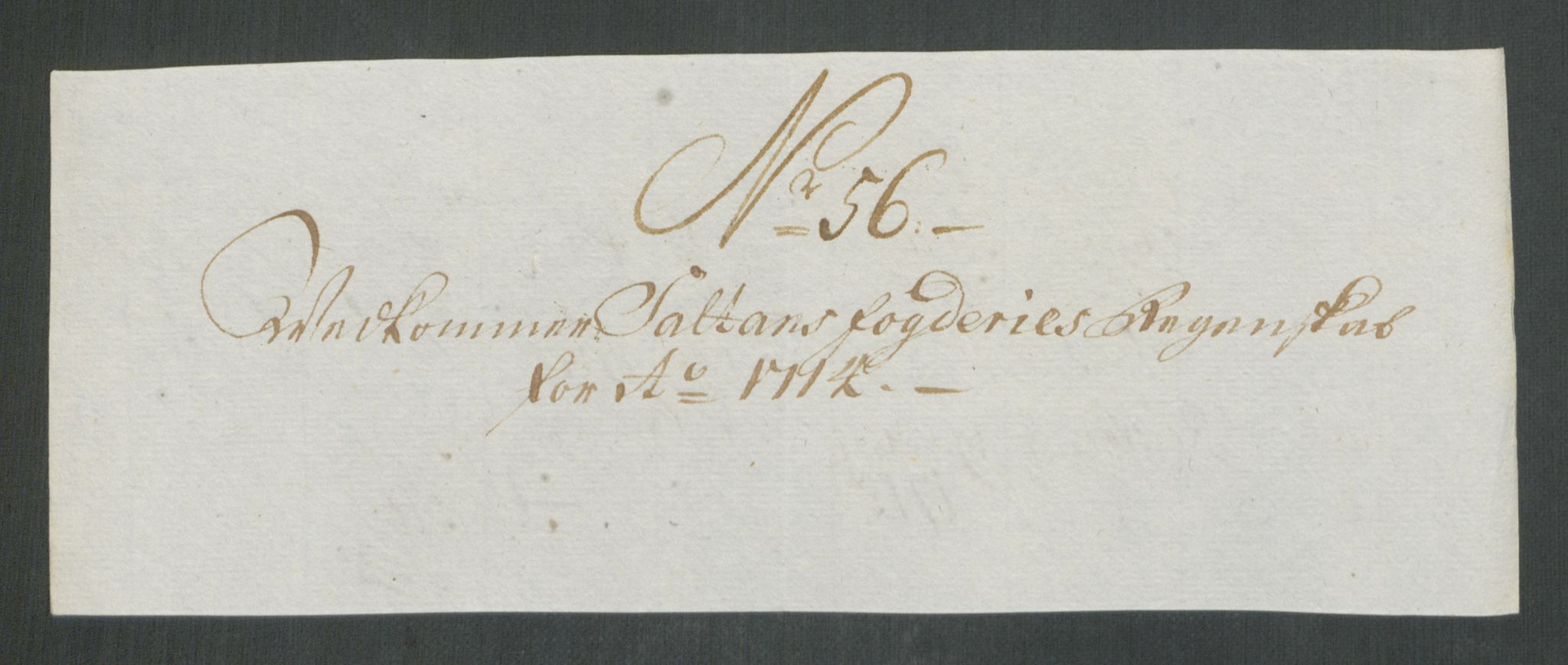 Rentekammeret inntil 1814, Reviderte regnskaper, Fogderegnskap, AV/RA-EA-4092/R66/L4584: Fogderegnskap Salten, 1714, p. 322