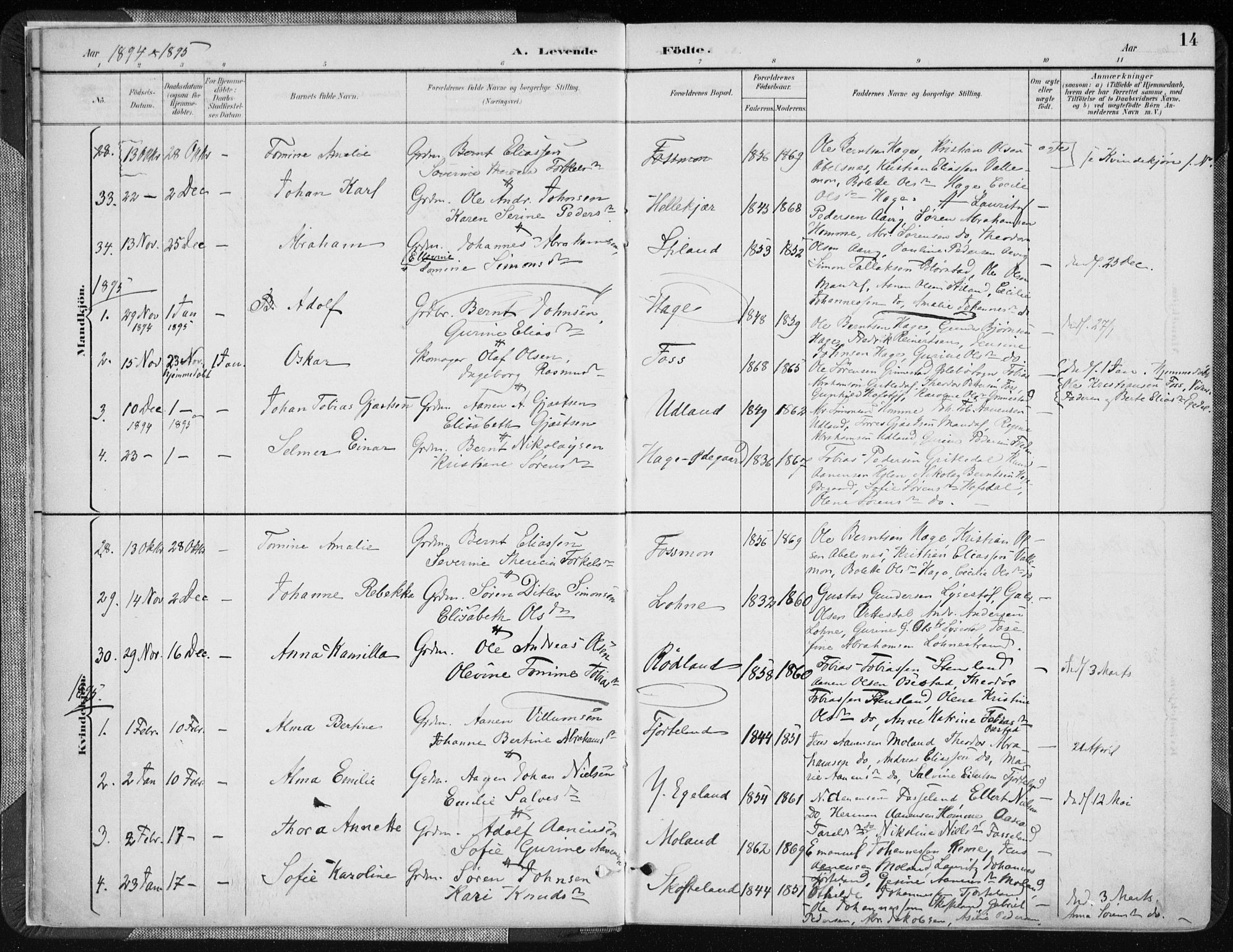 Sør-Audnedal sokneprestkontor, AV/SAK-1111-0039/F/Fa/Fab/L0010: Parish register (official) no. A 10, 1892-1913, p. 14