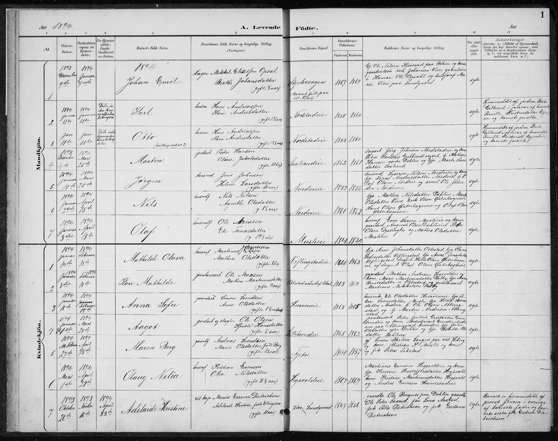 Stange prestekontor, SAH/PREST-002/L/L0010: Parish register (copy) no. 10, 1894-1905, p. 1