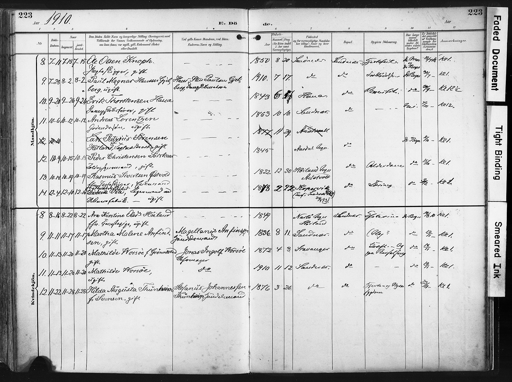 Høyland sokneprestkontor, SAST/A-101799/001/30BA/L0016: Parish register (official) no. A 16, 1899-1911, p. 223