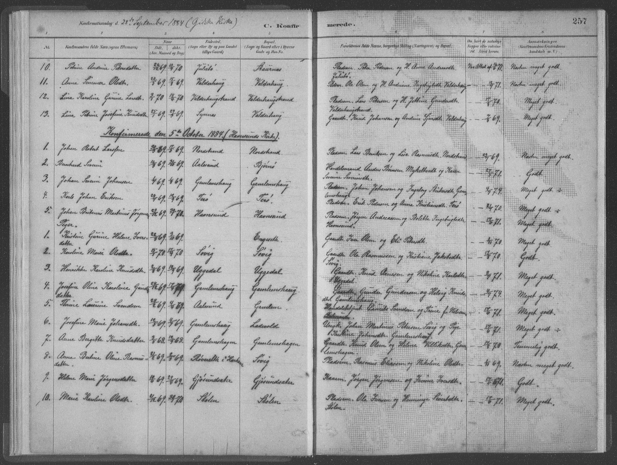 Ministerialprotokoller, klokkerbøker og fødselsregistre - Møre og Romsdal, AV/SAT-A-1454/528/L0402: Parish register (official) no. 528A12II, 1880-1903, p. 257