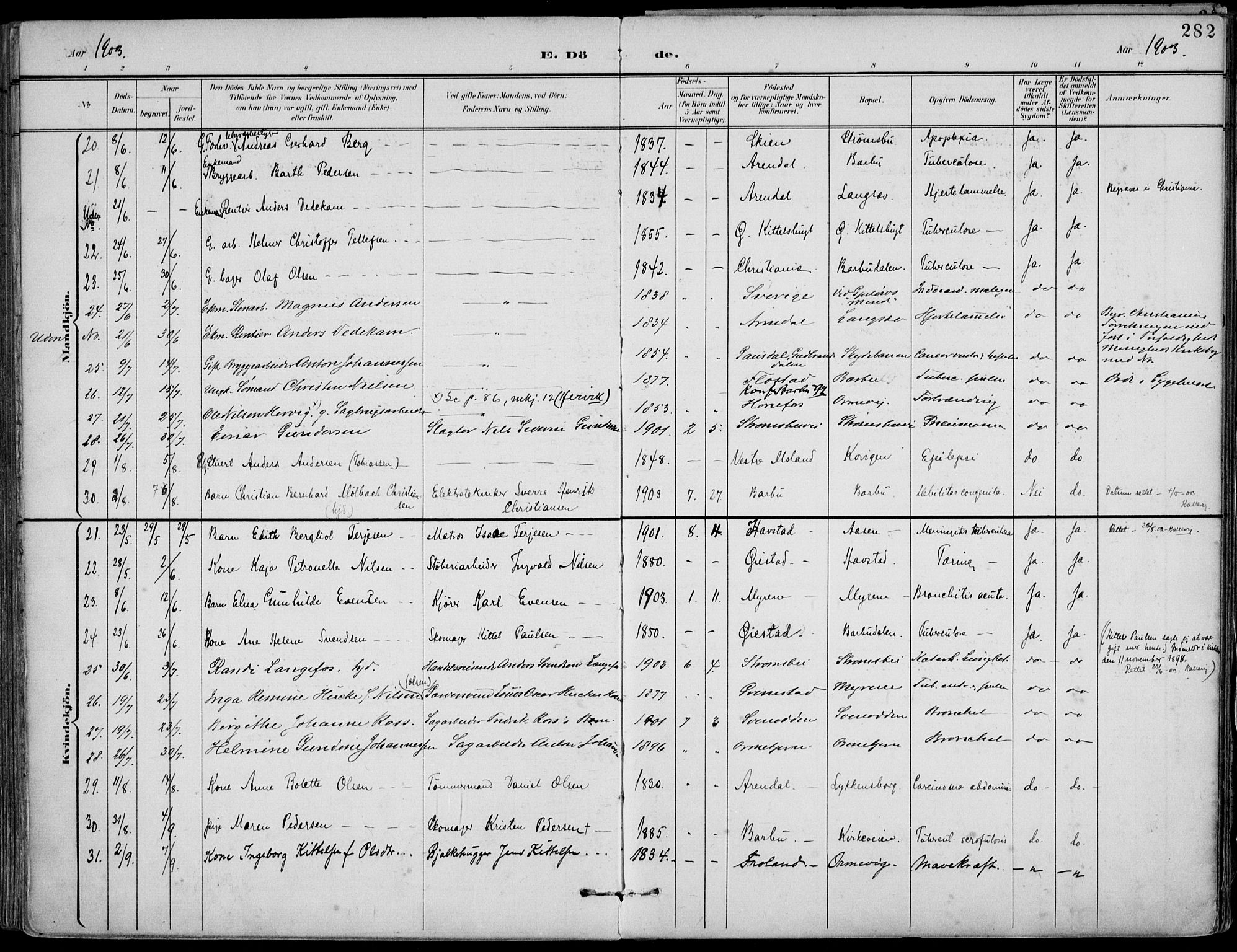 Barbu sokneprestkontor, AV/SAK-1111-0003/F/Fa/L0005: Parish register (official) no. A 5, 1899-1909, p. 282