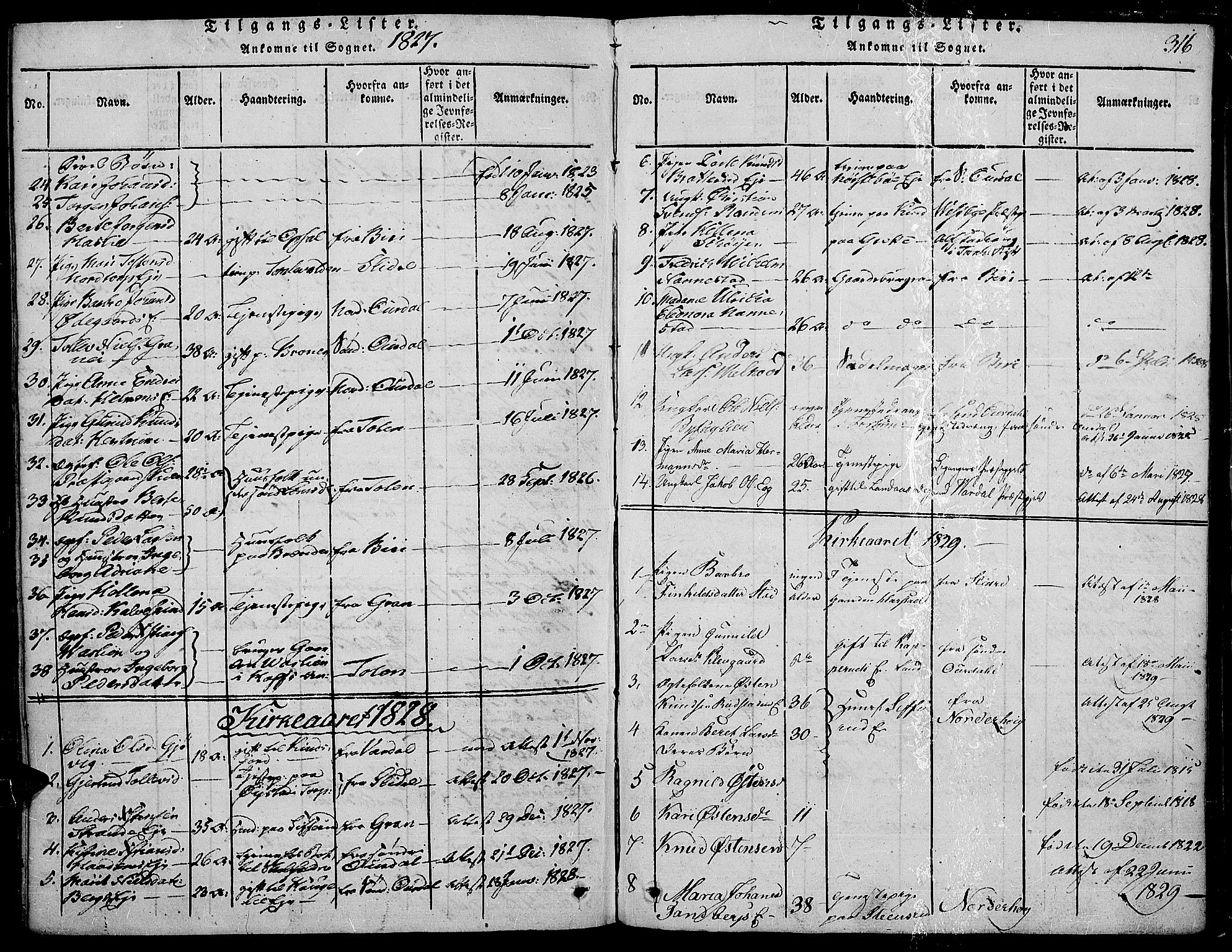 Land prestekontor, SAH/PREST-120/H/Ha/Haa/L0007: Parish register (official) no. 7, 1814-1830, p. 316