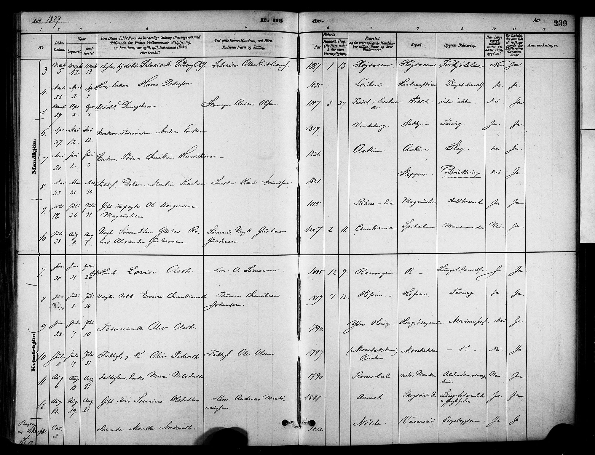Stange prestekontor, SAH/PREST-002/K/L0018: Parish register (official) no. 18, 1880-1896, p. 239