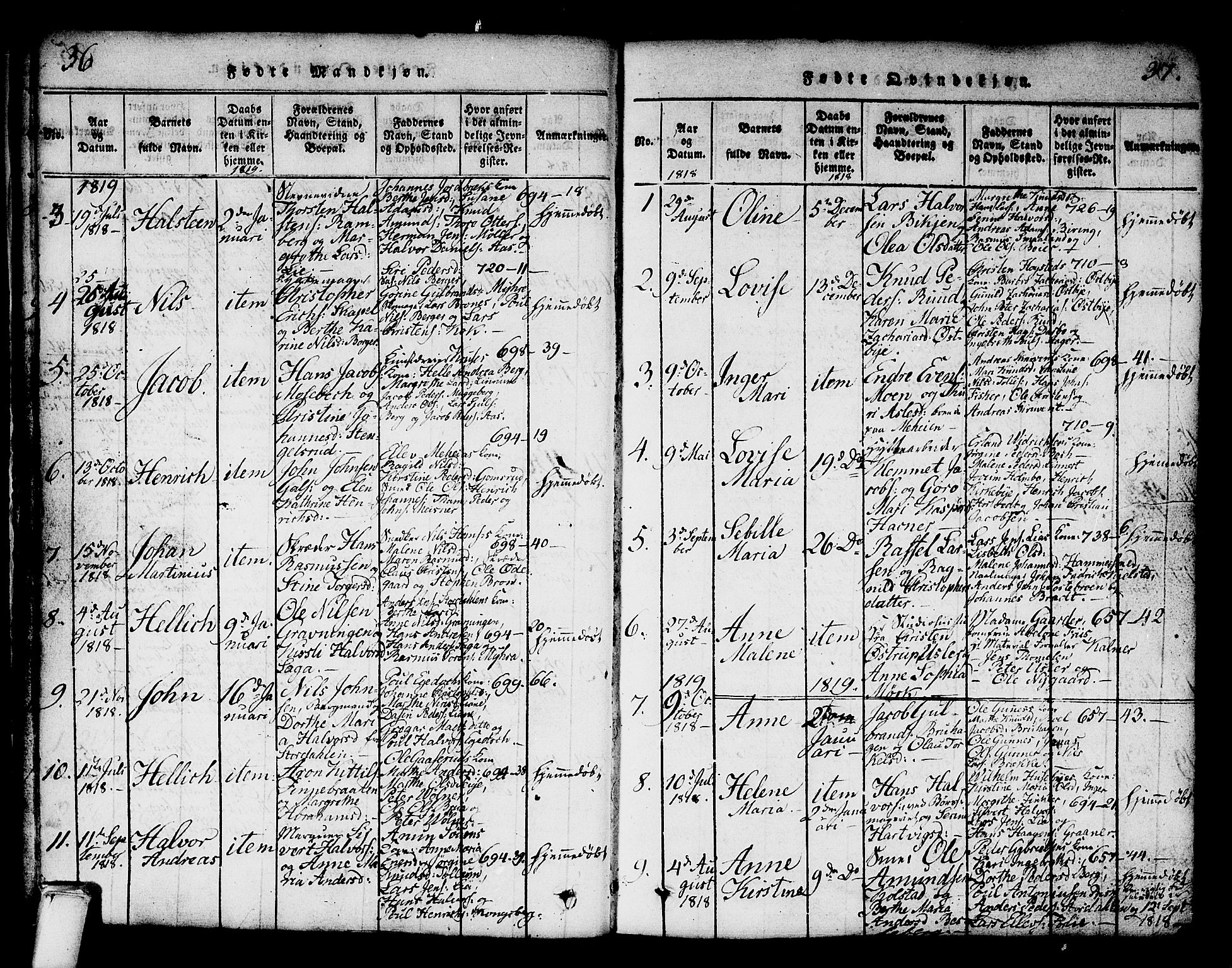 Kongsberg kirkebøker, SAKO/A-22/G/Ga/L0001: Parish register (copy) no. 1, 1816-1839, p. 36-37