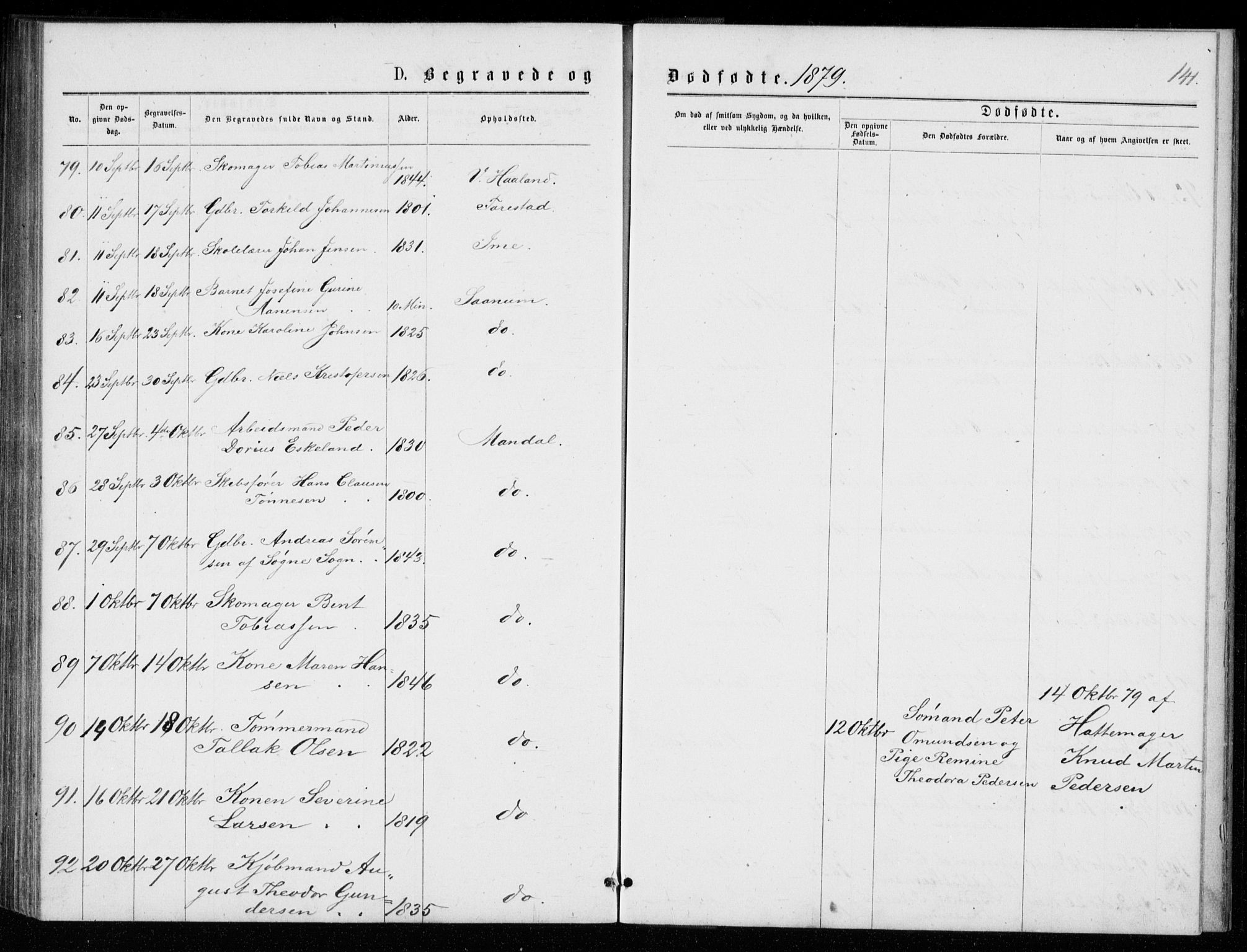 Mandal sokneprestkontor, AV/SAK-1111-0030/F/Fb/Fba/L0010: Parish register (copy) no. B 4, 1876-1880, p. 141