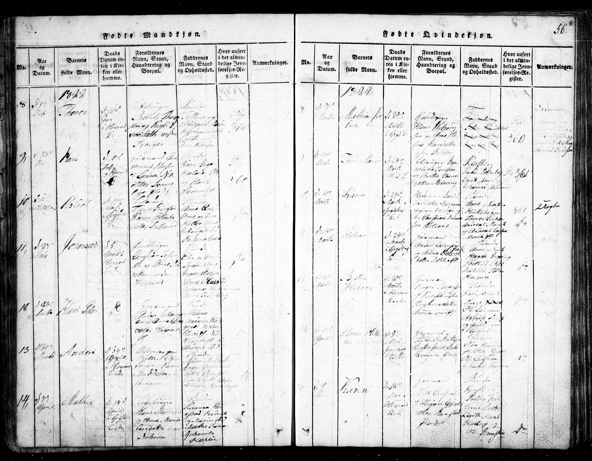 Spydeberg prestekontor Kirkebøker, SAO/A-10924/G/Ga/L0001: Parish register (copy) no. I 1, 1814-1868, p. 56