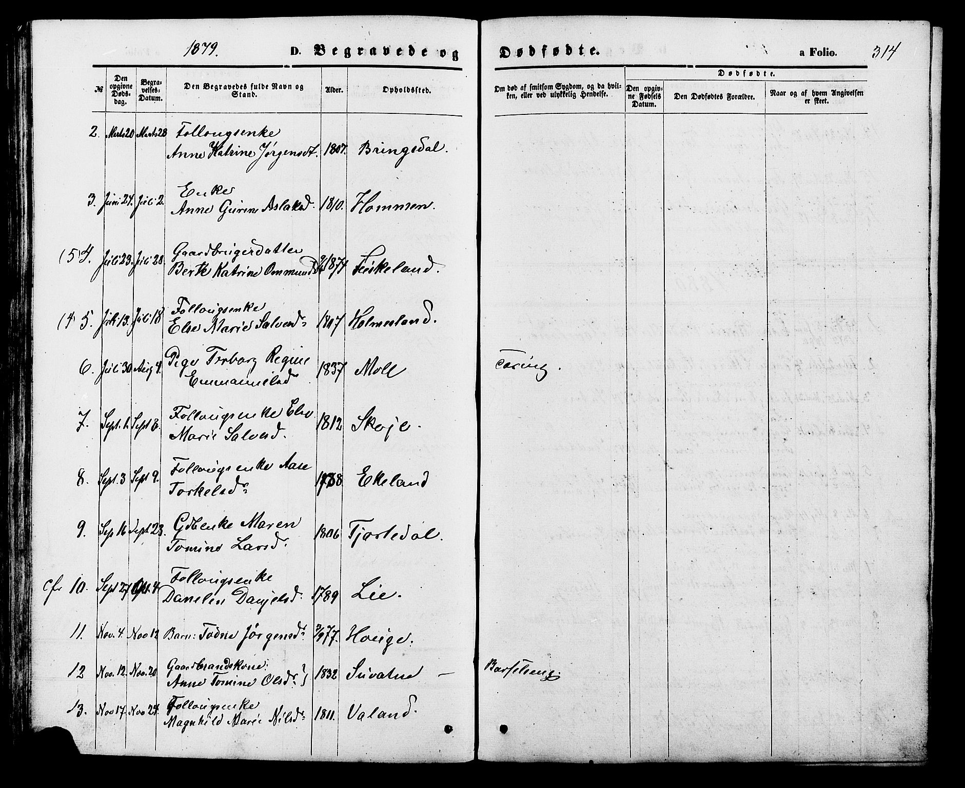 Holum sokneprestkontor, SAK/1111-0022/F/Fb/Fba/L0004: Parish register (copy) no. B 4, 1867-1890, p. 314