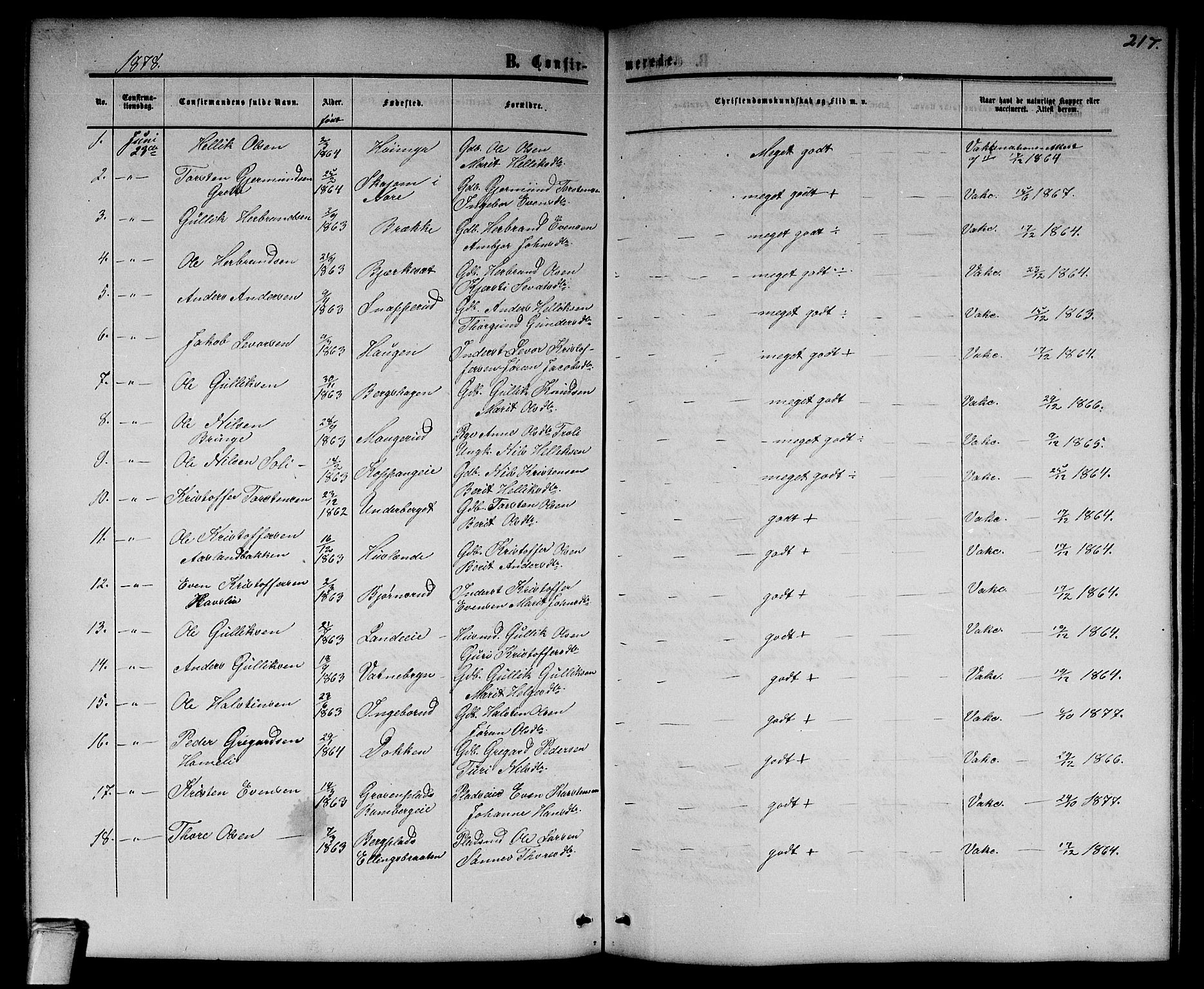 Flesberg kirkebøker, SAKO/A-18/G/Ga/L0003: Parish register (copy) no. I 3, 1861-1889, p. 217