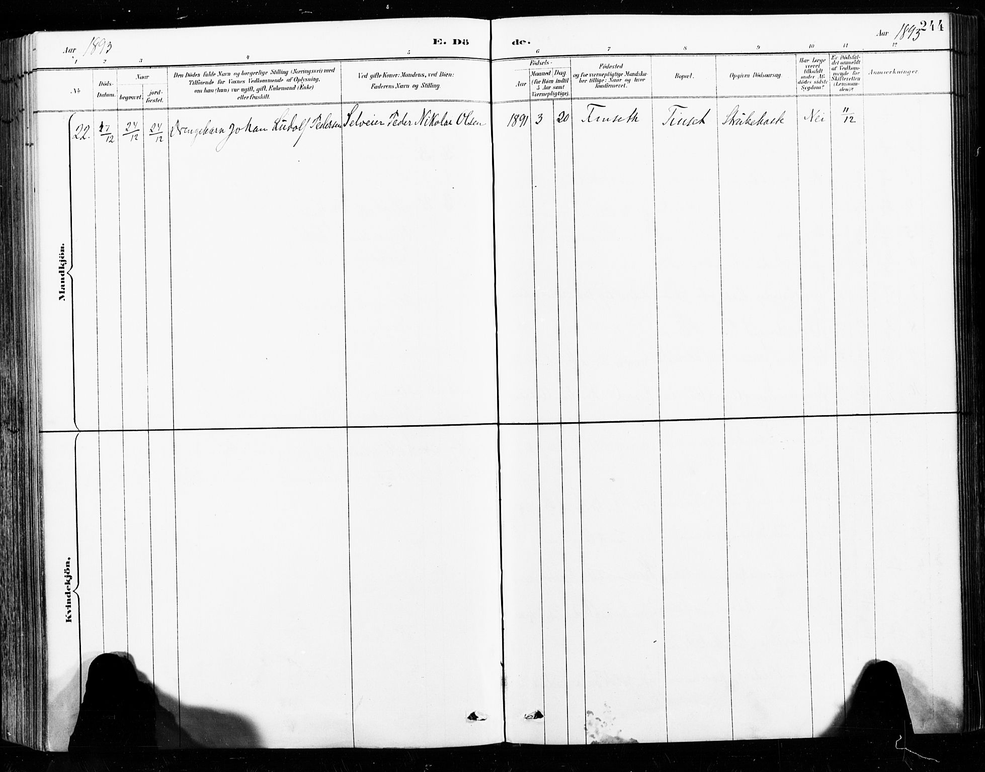 Ministerialprotokoller, klokkerbøker og fødselsregistre - Nordland, AV/SAT-A-1459/859/L0847: Parish register (official) no. 859A07, 1890-1899, p. 244