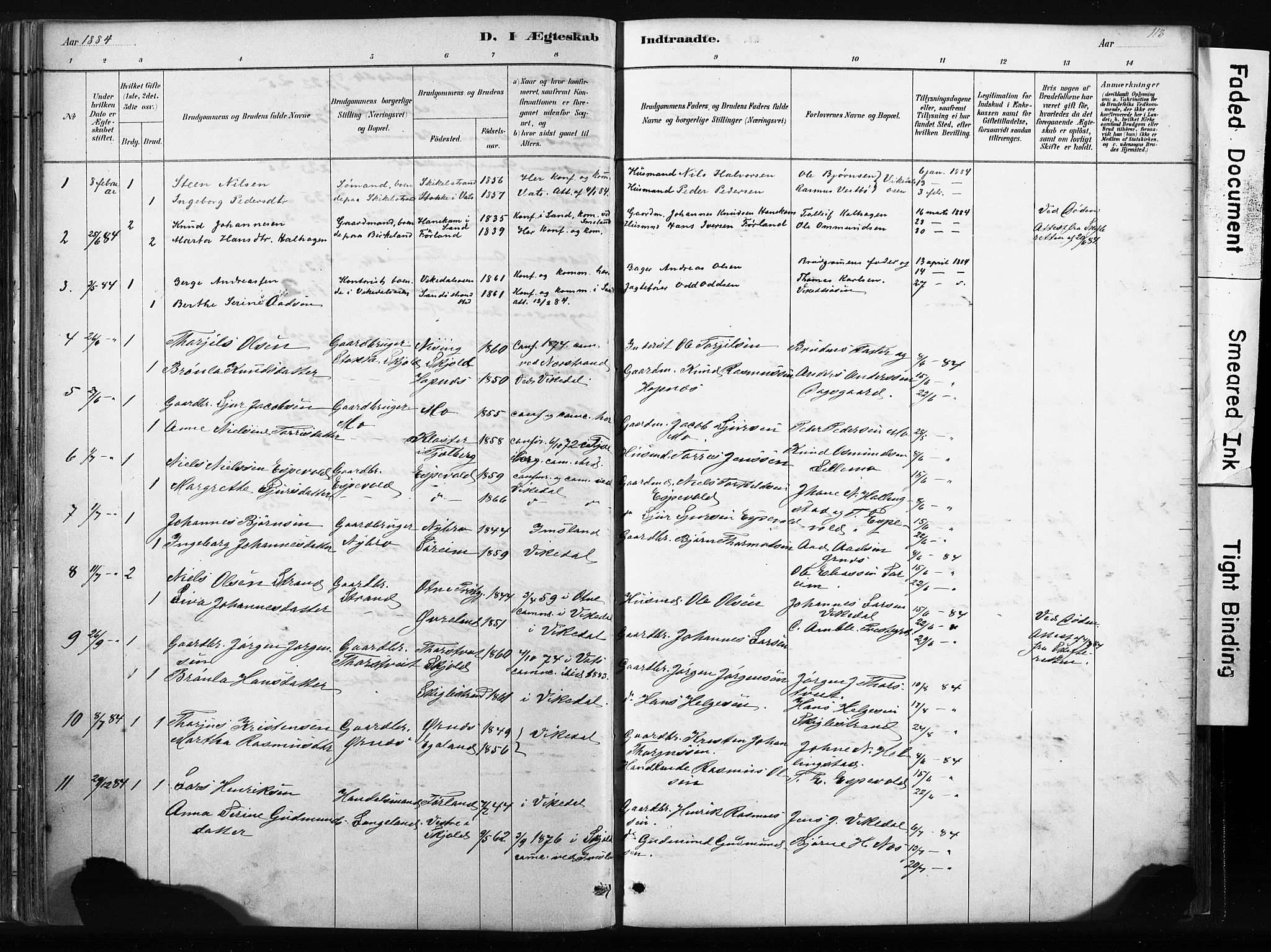 Vikedal sokneprestkontor, SAST/A-101840/01/IV: Parish register (official) no. A 10, 1884-1907, p. 113