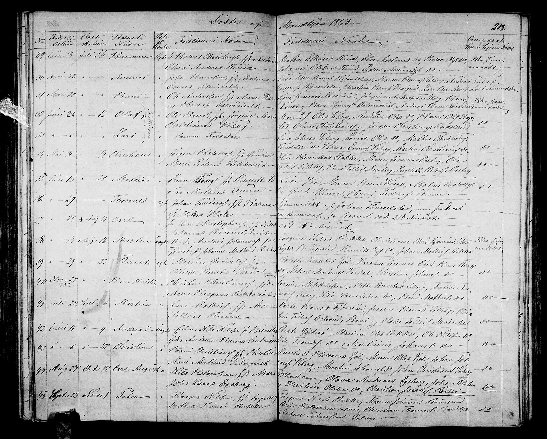 Sande Kirkebøker, AV/SAKO-A-53/G/Ga/L0002: Parish register (copy) no. 2, 1847-1863, p. 213