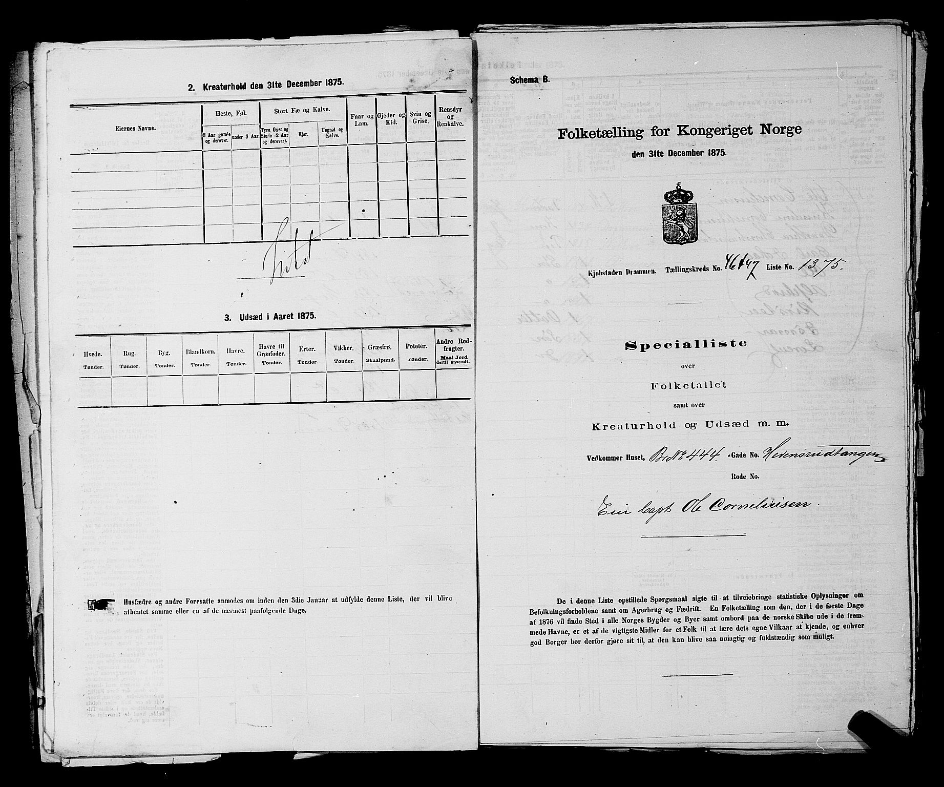 SAKO, 1875 census for 0602 Drammen, 1875, p. 3692