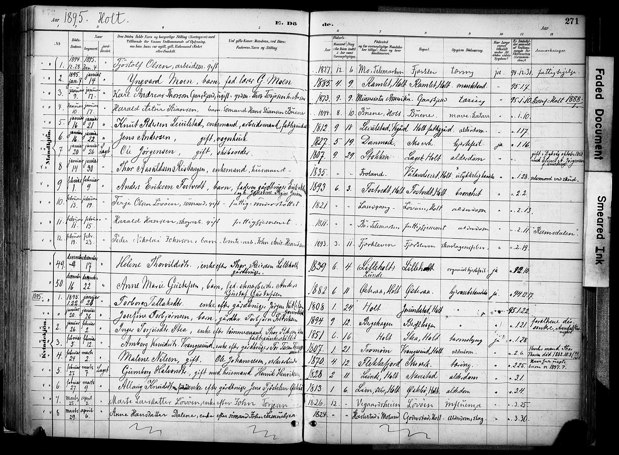 Holt sokneprestkontor, AV/SAK-1111-0021/F/Fa/L0012: Parish register (official) no. A 12, 1885-1907, p. 271