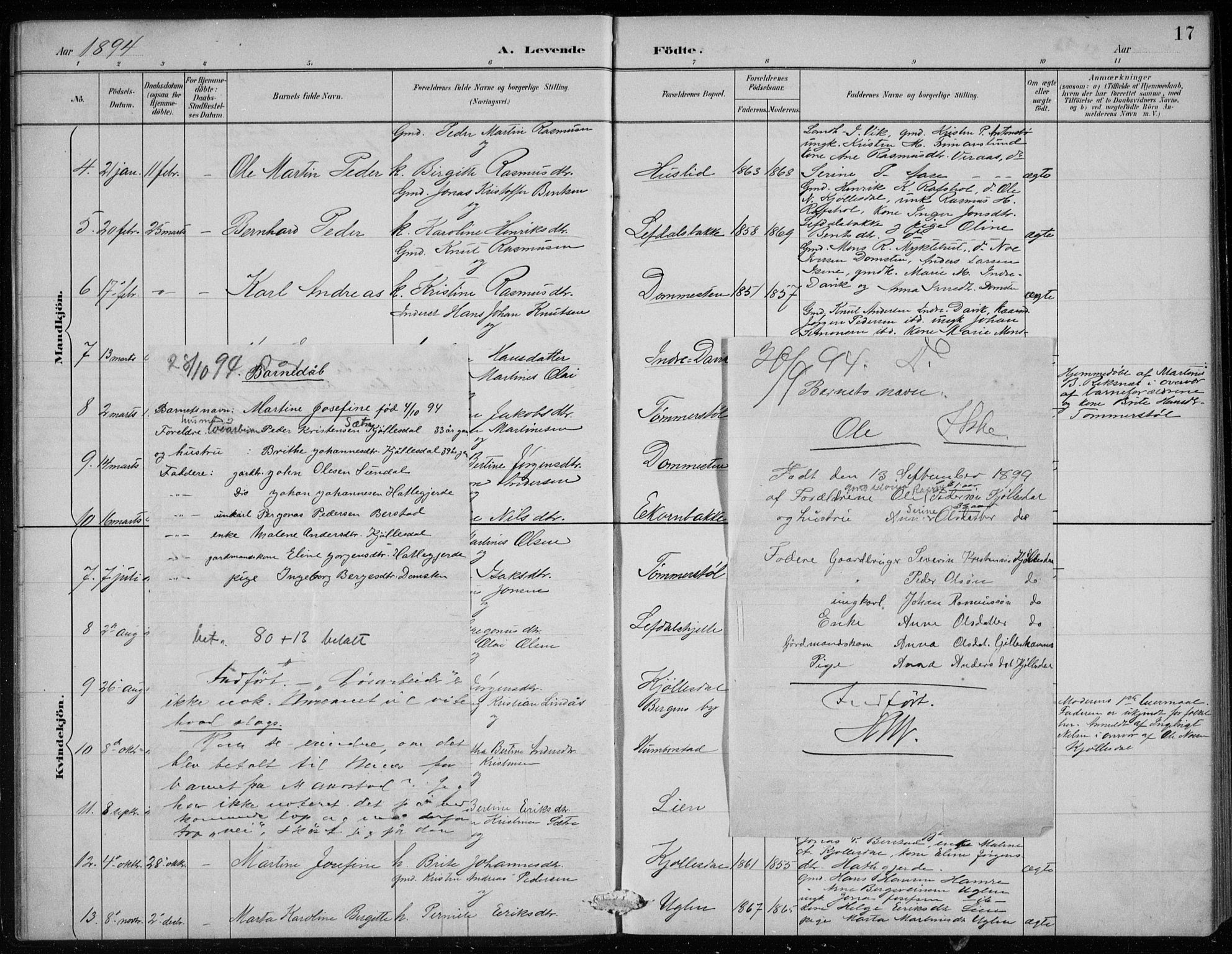 Davik sokneprestembete, SAB/A-79701/H/Hab/Haba/L0002: Parish register (copy) no. A 2, 1890-1911, p. 17