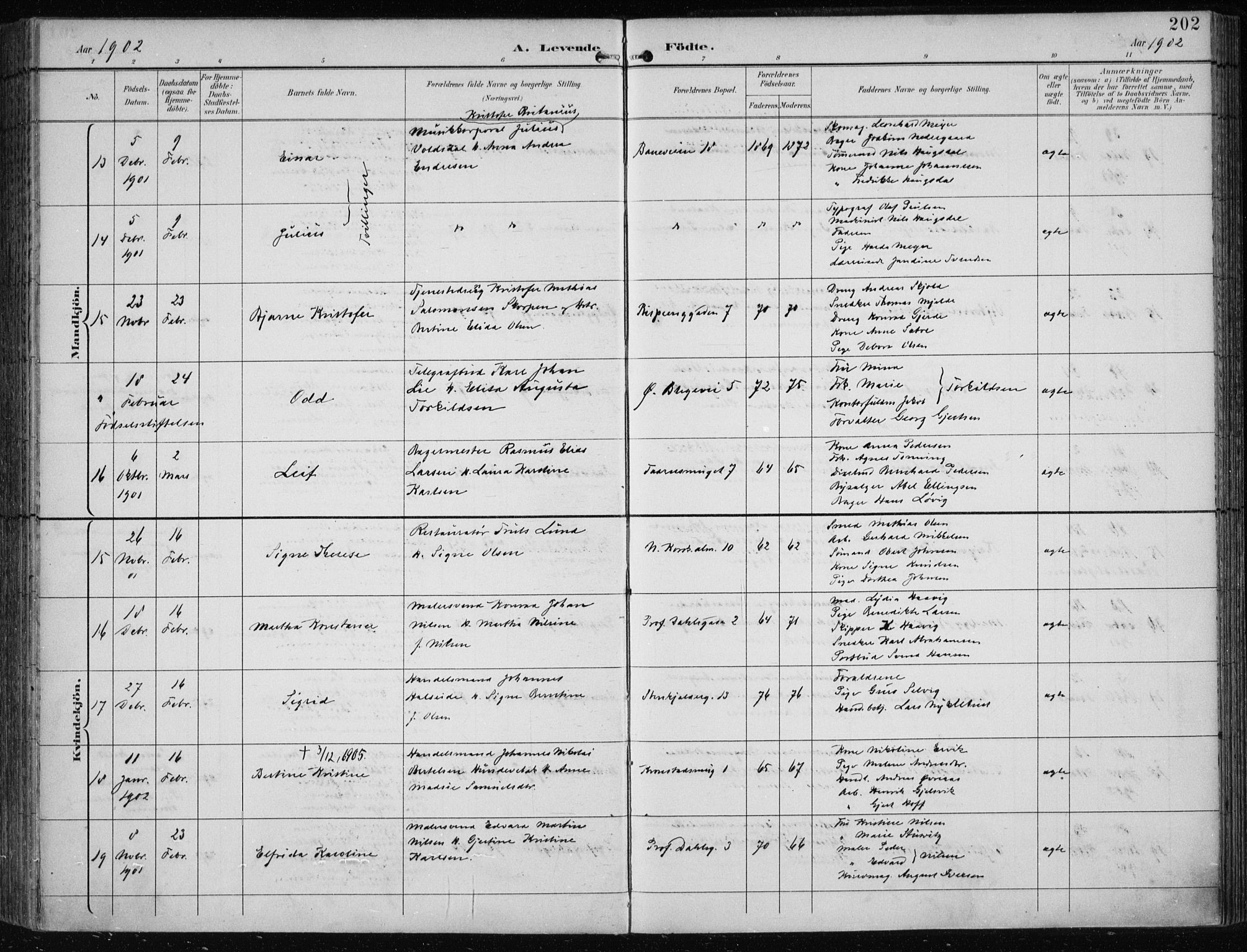 Korskirken sokneprestembete, AV/SAB-A-76101/H/Hab: Parish register (copy) no. B 10, 1896-1905, p. 202