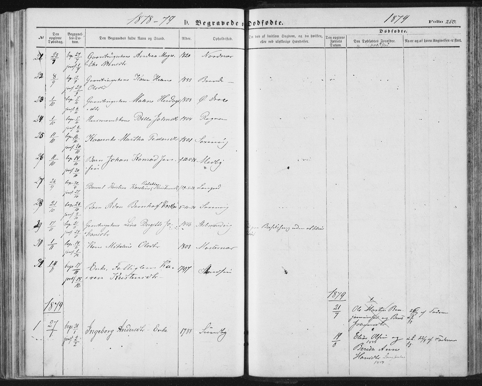 Ministerialprotokoller, klokkerbøker og fødselsregistre - Nordland, SAT/A-1459/847/L0668: Parish register (official) no. 847A08, 1872-1886, p. 250