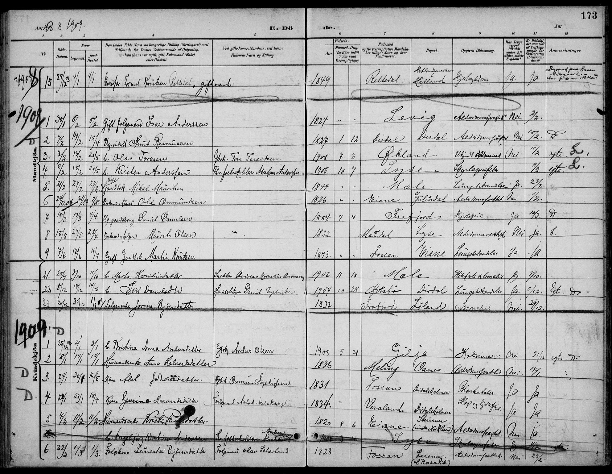 Høgsfjord sokneprestkontor, SAST/A-101624/H/Ha/Haa/L0007: Parish register (official) no. A 7, 1898-1917, p. 173
