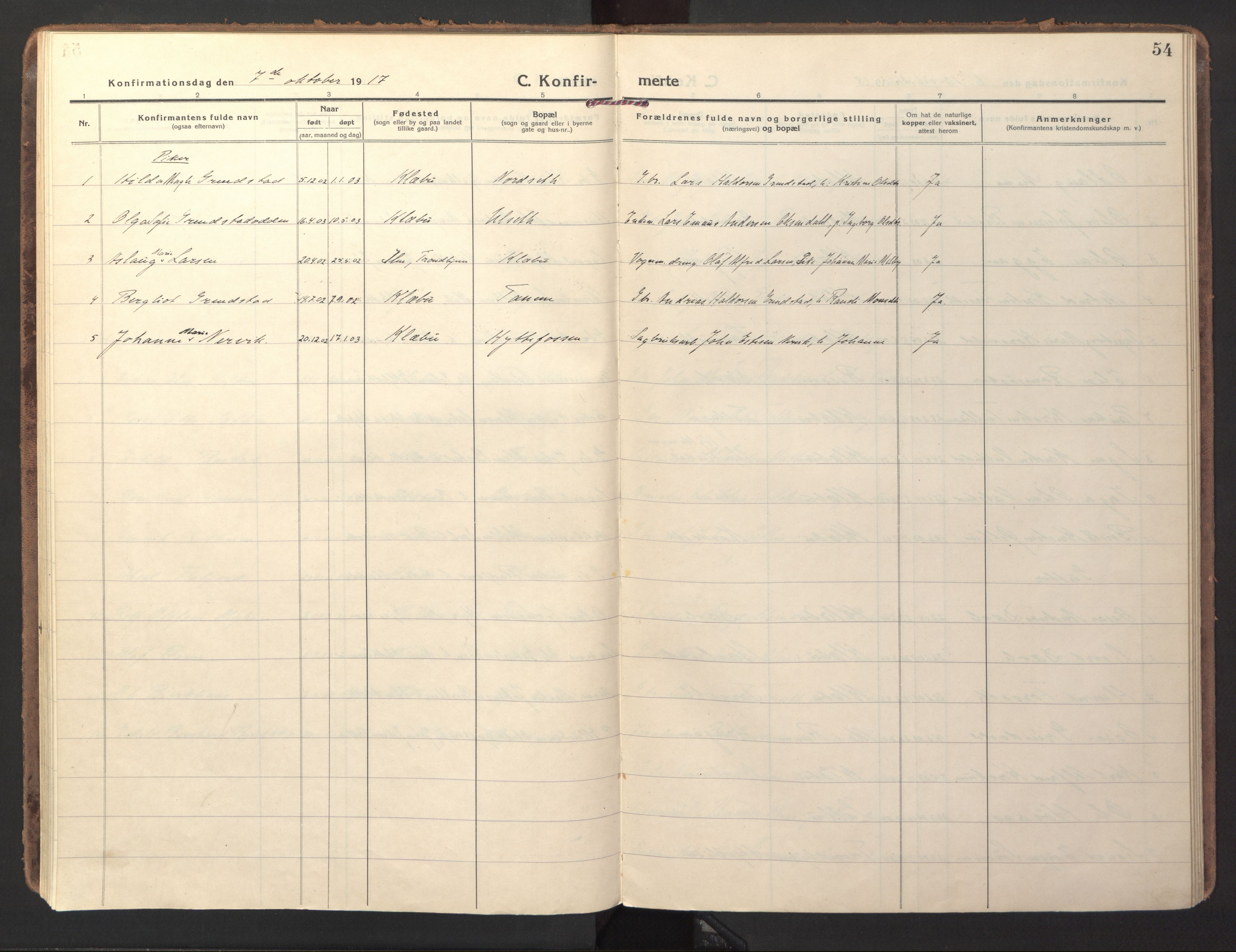Ministerialprotokoller, klokkerbøker og fødselsregistre - Sør-Trøndelag, SAT/A-1456/618/L0449: Parish register (official) no. 618A12, 1917-1924, p. 54