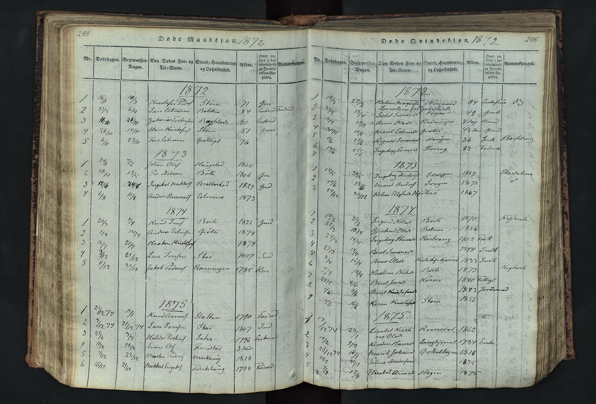 Kvikne prestekontor, SAH/PREST-064/H/Ha/Hab/L0001: Parish register (copy) no. 1, 1815-1895, p. 245-246