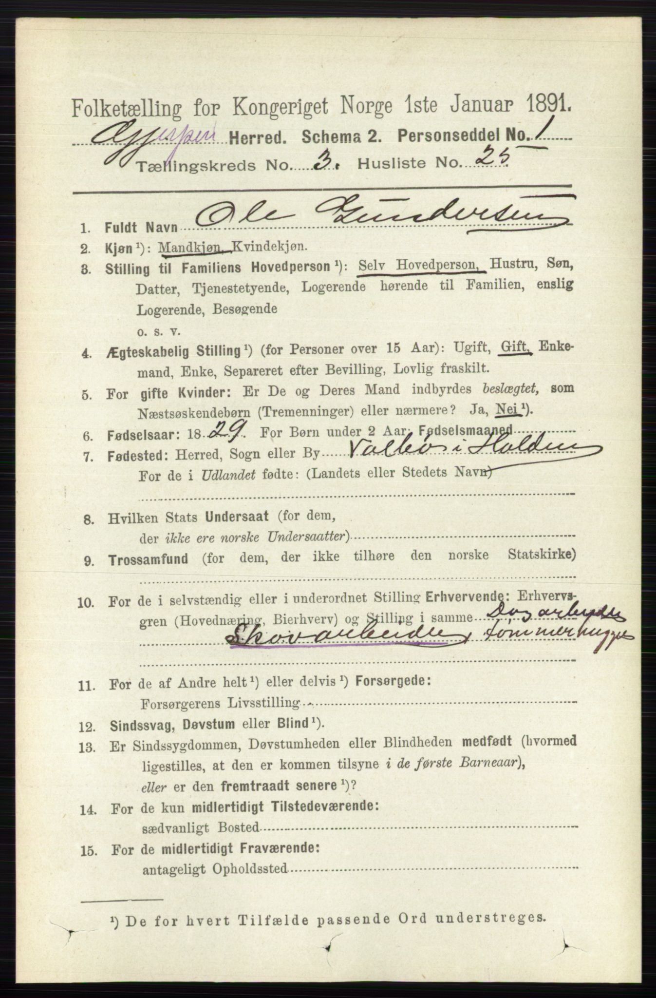 RA, 1891 census for 0812 Gjerpen, 1891, p. 1645