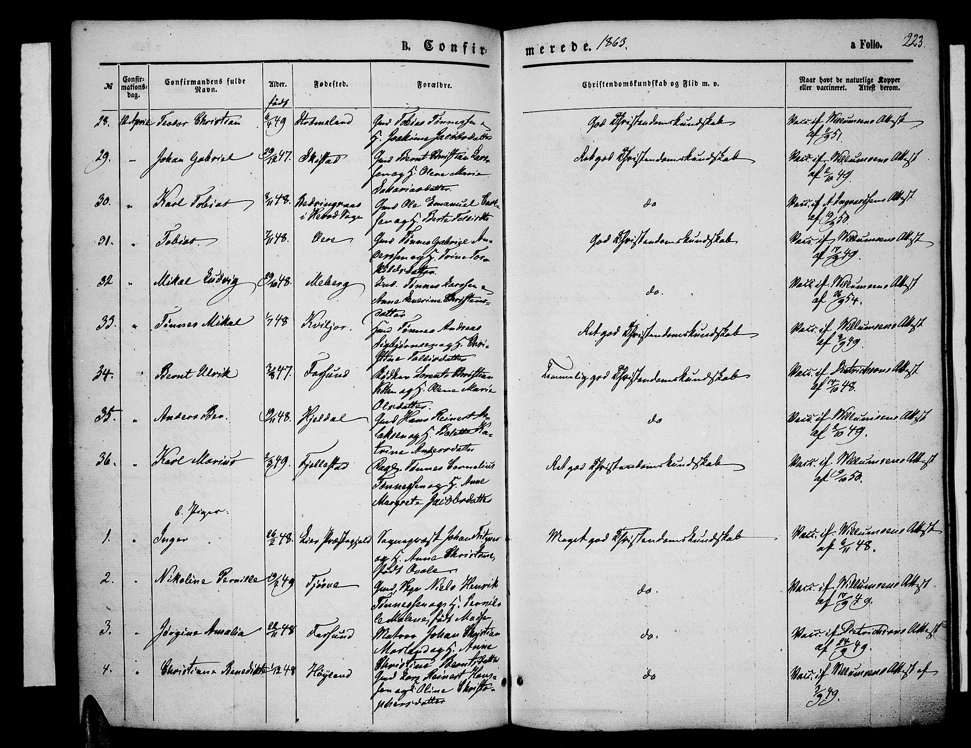 Lista sokneprestkontor, AV/SAK-1111-0027/F/Fb/L0003: Parish register (copy) no. B 3, 1862-1877, p. 223