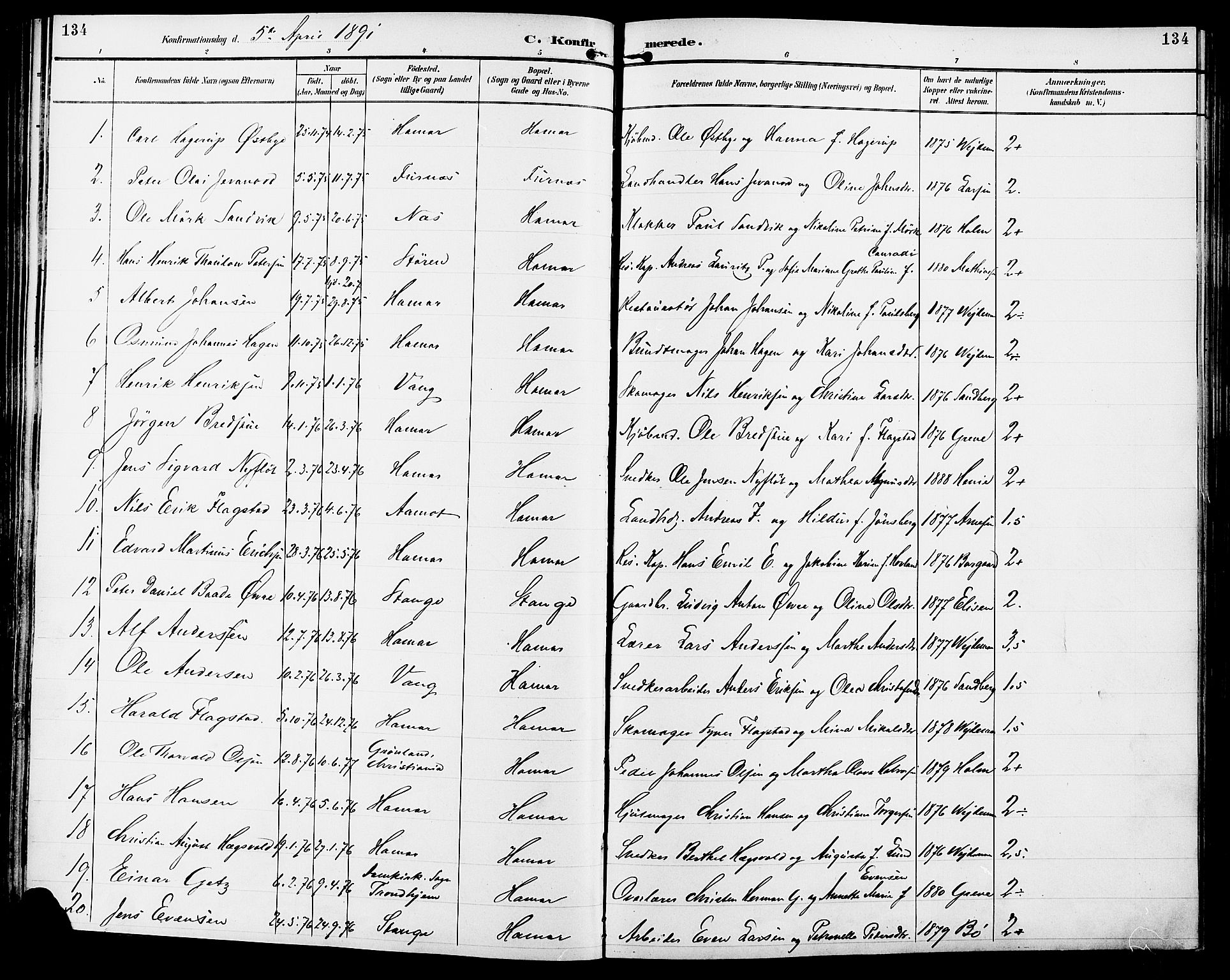 Vang prestekontor, Hedmark, AV/SAH-PREST-008/H/Ha/Haa/L0017: Parish register (official) no. 17, 1890-1899, p. 134