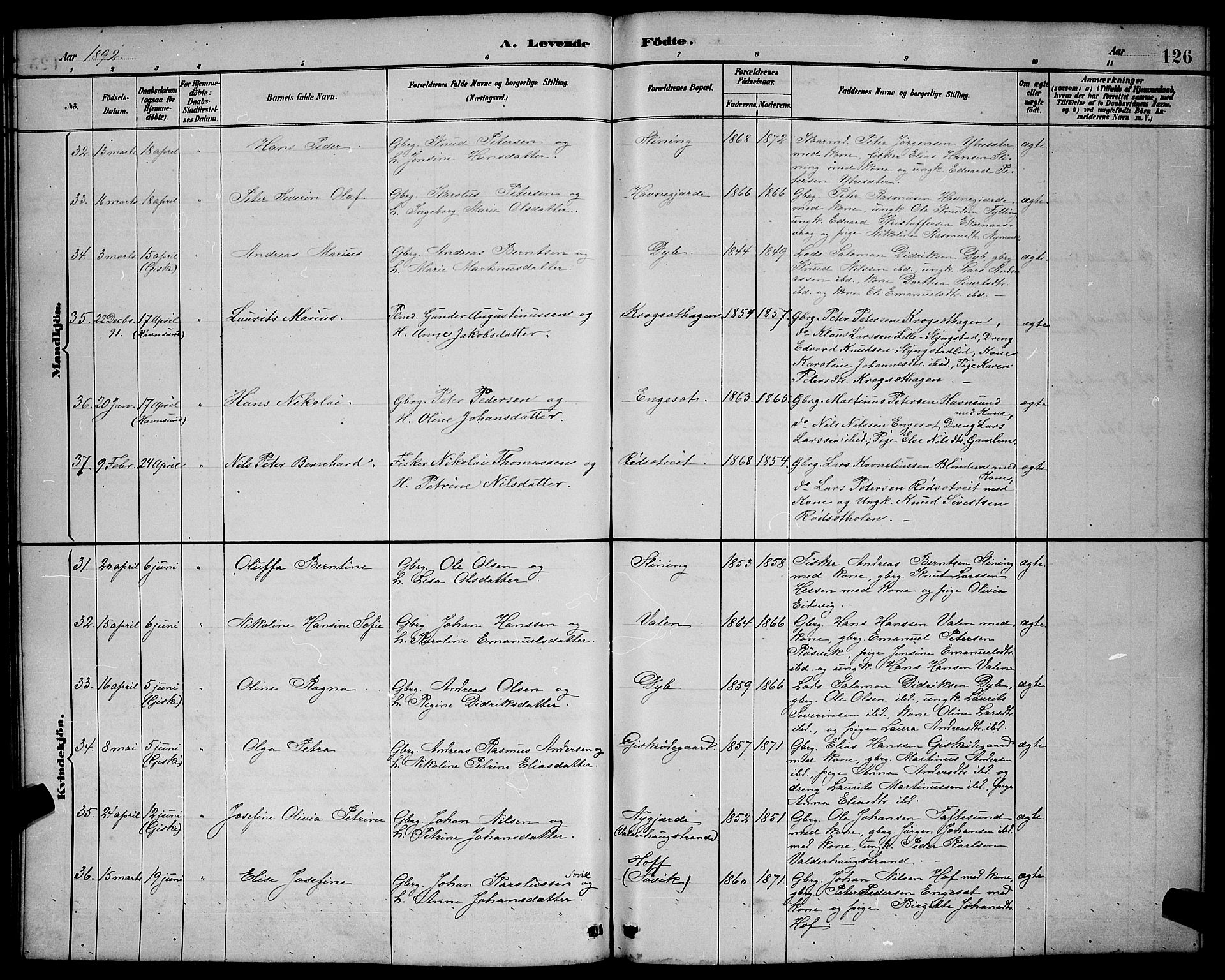 Ministerialprotokoller, klokkerbøker og fødselsregistre - Møre og Romsdal, AV/SAT-A-1454/528/L0431: Parish register (copy) no. 528C12, 1885-1898, p. 126