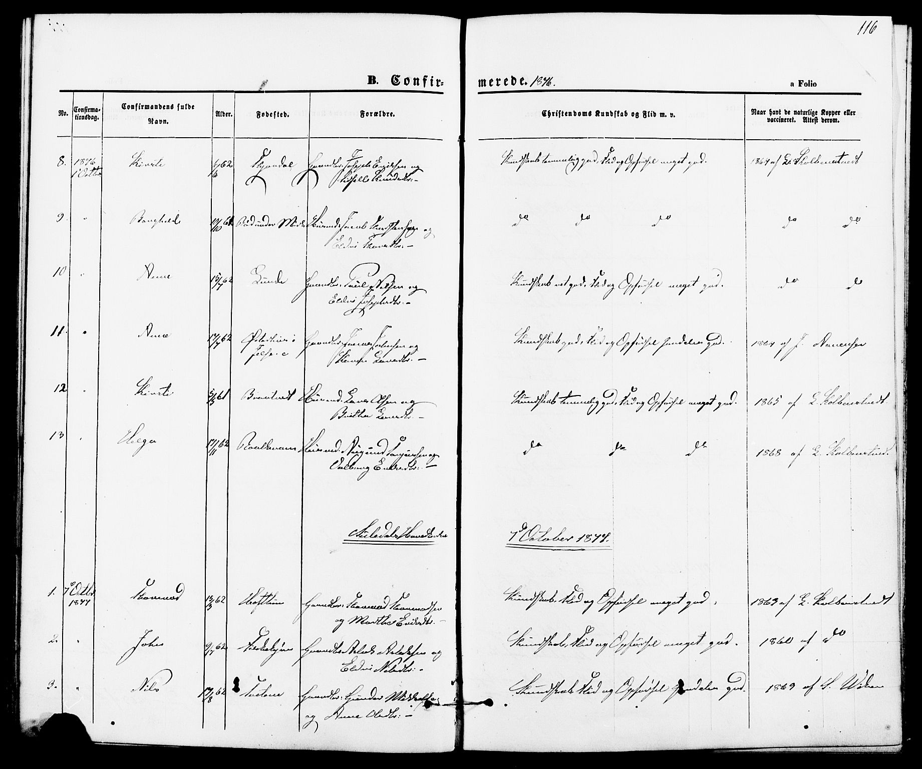 Suldal sokneprestkontor, AV/SAST-A-101845/01/IV/L0010: Parish register (official) no. A 10, 1869-1878, p. 116