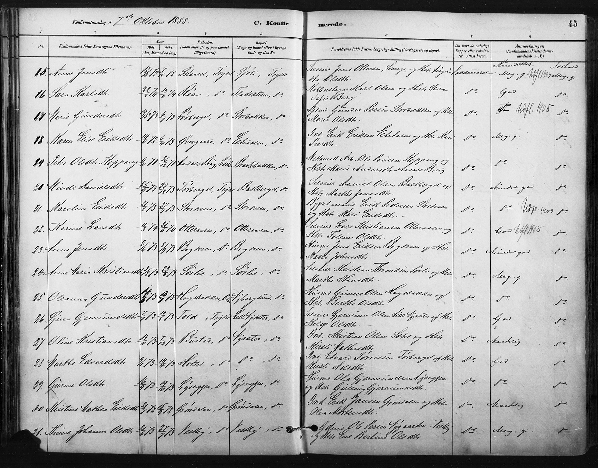 Trysil prestekontor, AV/SAH-PREST-046/H/Ha/Haa/L0009: Parish register (official) no. 9, 1881-1897, p. 45