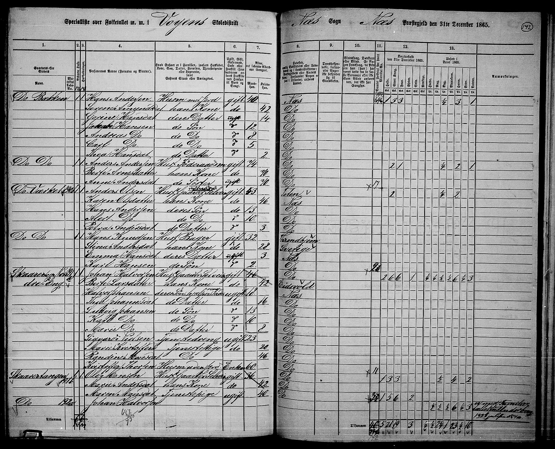 RA, 1865 census for Nes, 1865, p. 158