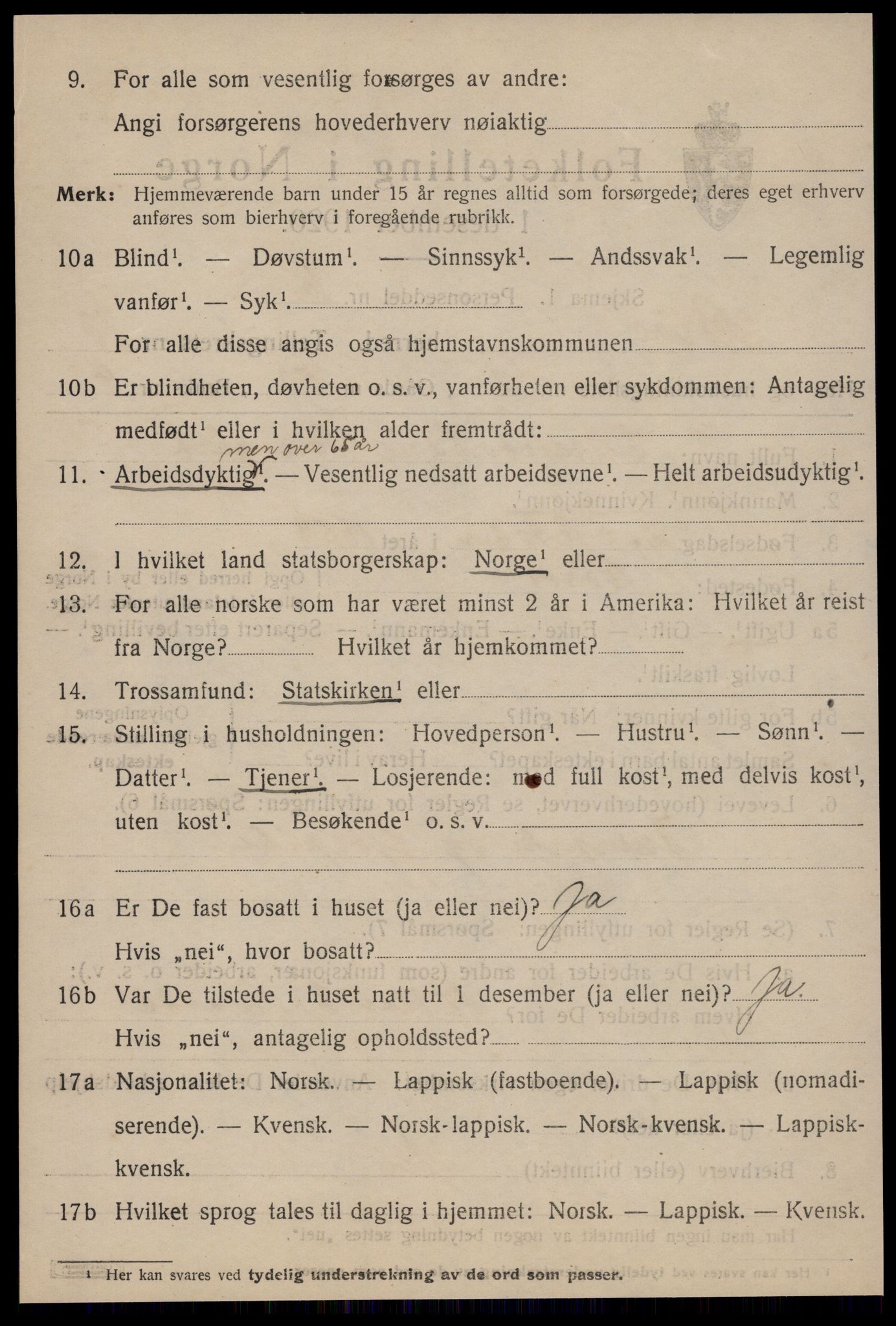 SAT, 1920 census for Røros, 1920, p. 9375