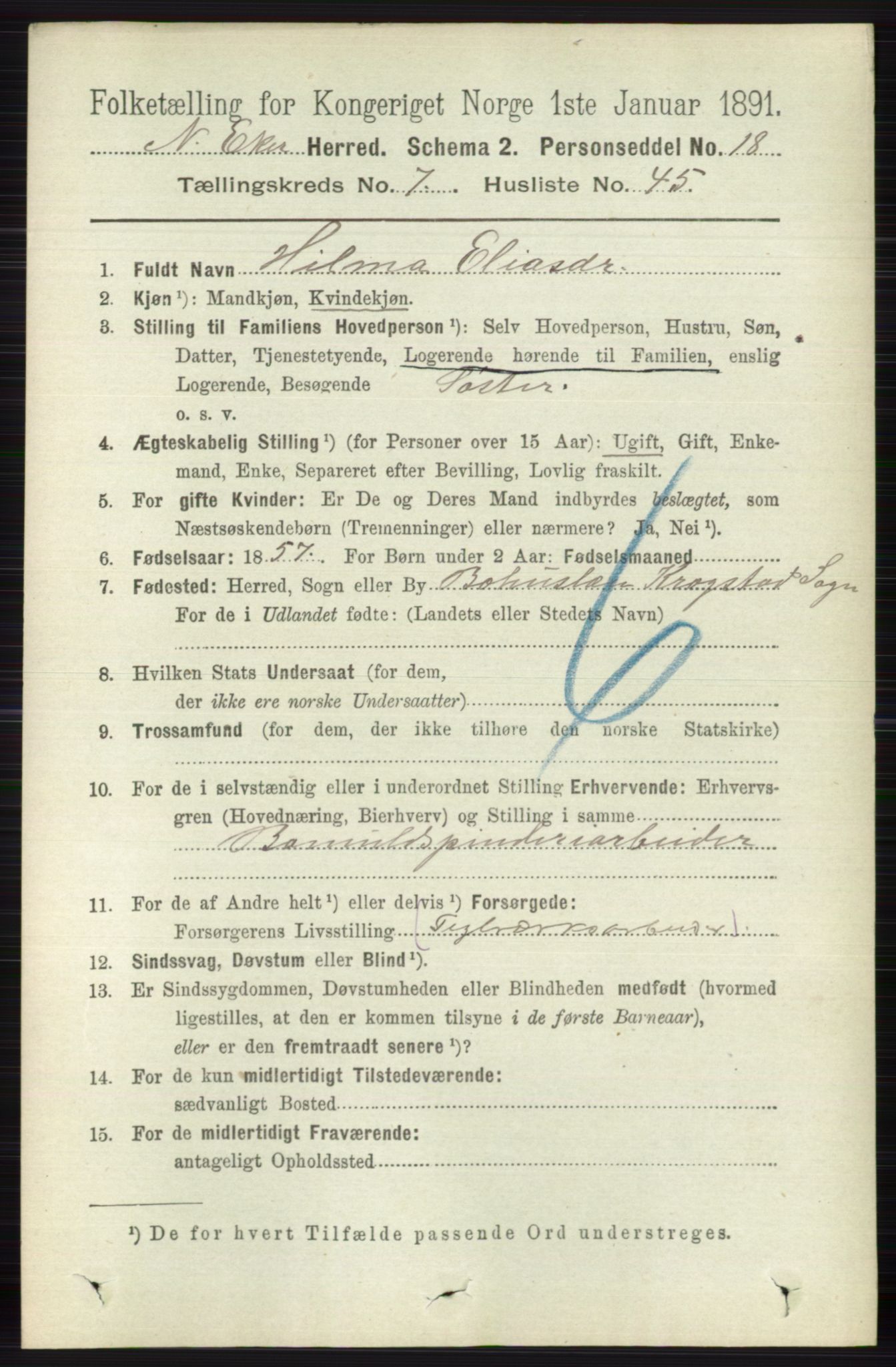 RA, 1891 census for 0625 Nedre Eiker, 1891, p. 3709