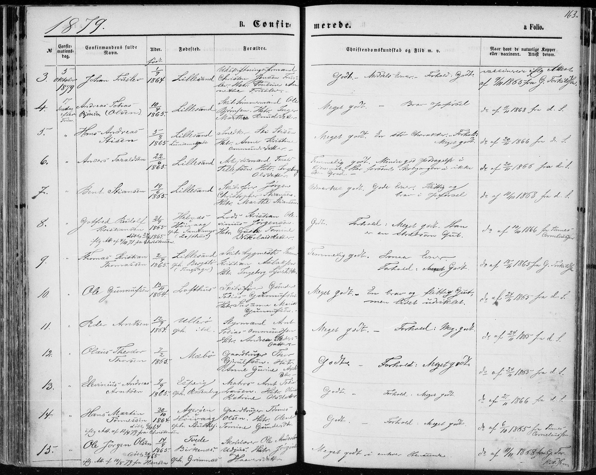 Vestre Moland sokneprestkontor, AV/SAK-1111-0046/F/Fa/Fab/L0008: Parish register (official) no. A 8, 1873-1883, p. 163