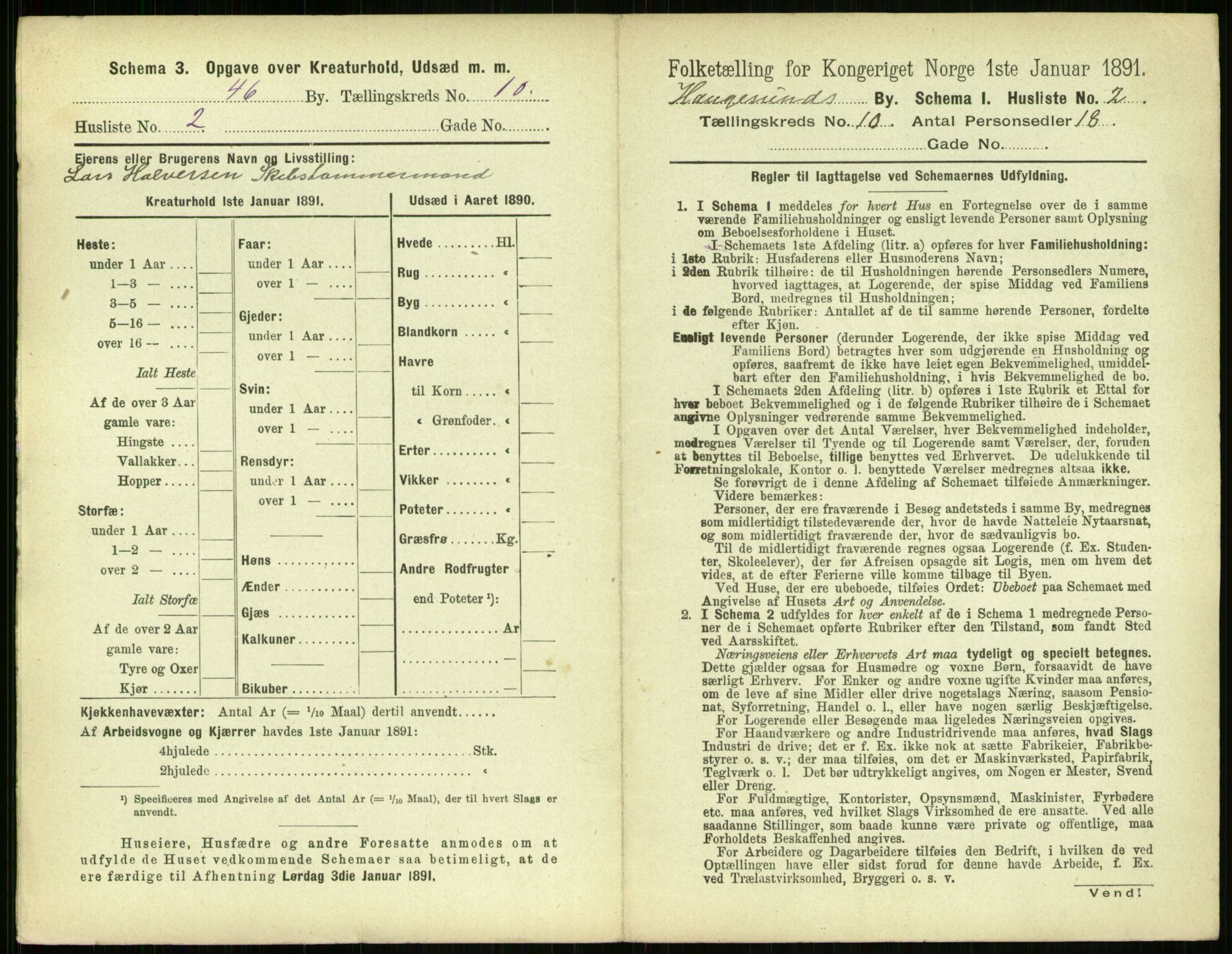 RA, 1891 census for 1106 Haugesund, 1891, p. 685