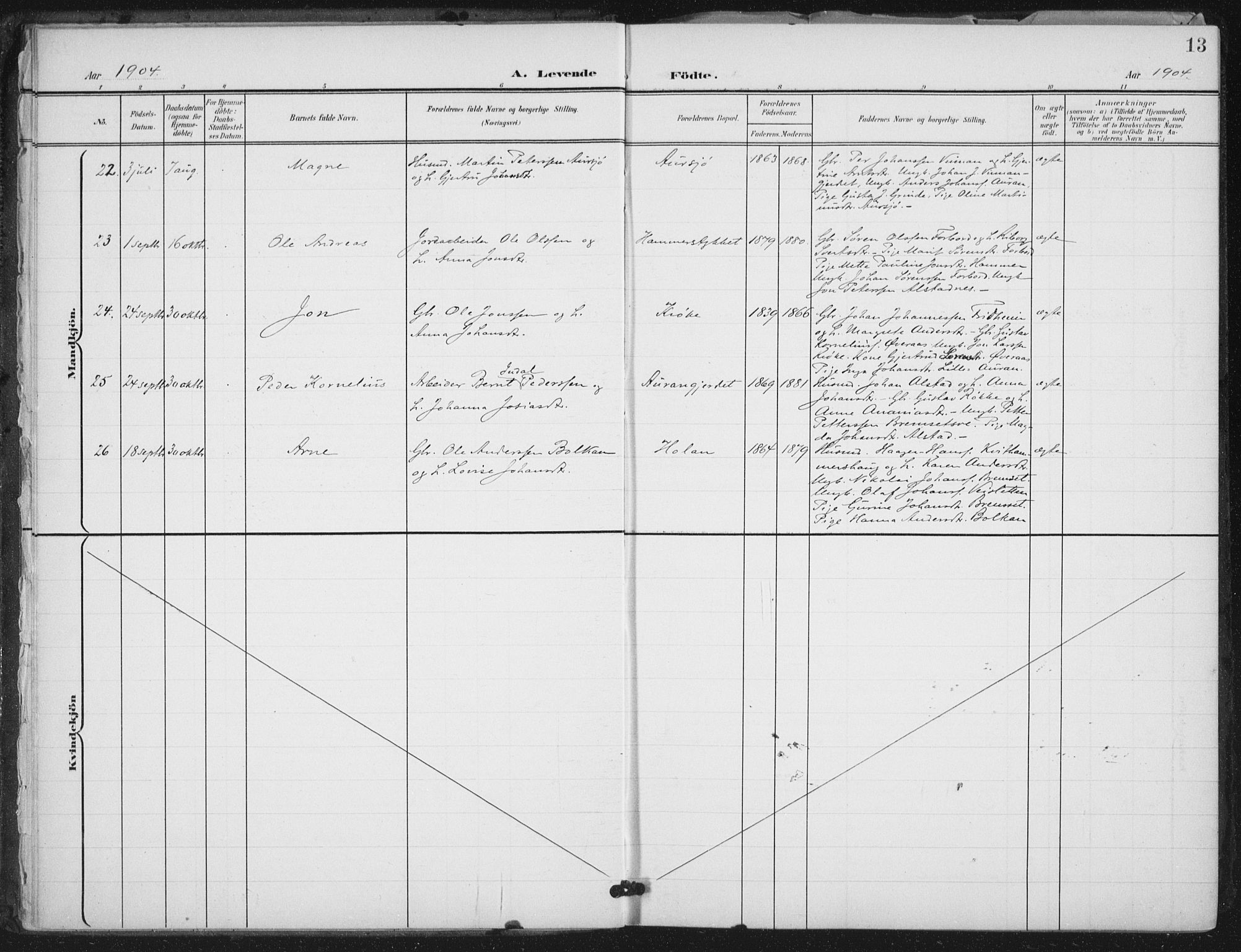 Ministerialprotokoller, klokkerbøker og fødselsregistre - Nord-Trøndelag, AV/SAT-A-1458/712/L0101: Parish register (official) no. 712A02, 1901-1916, p. 13