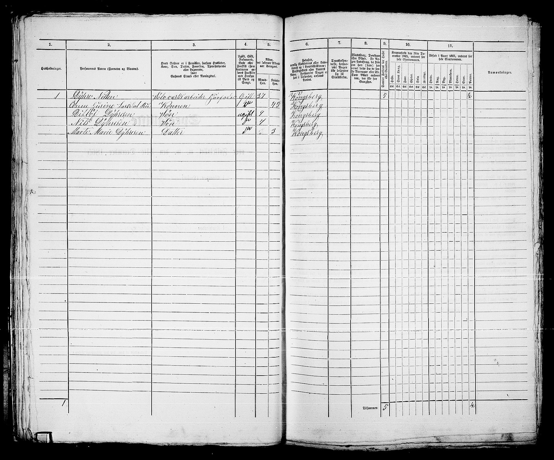 RA, 1865 census for Kongsberg/Kongsberg, 1865, p. 1056